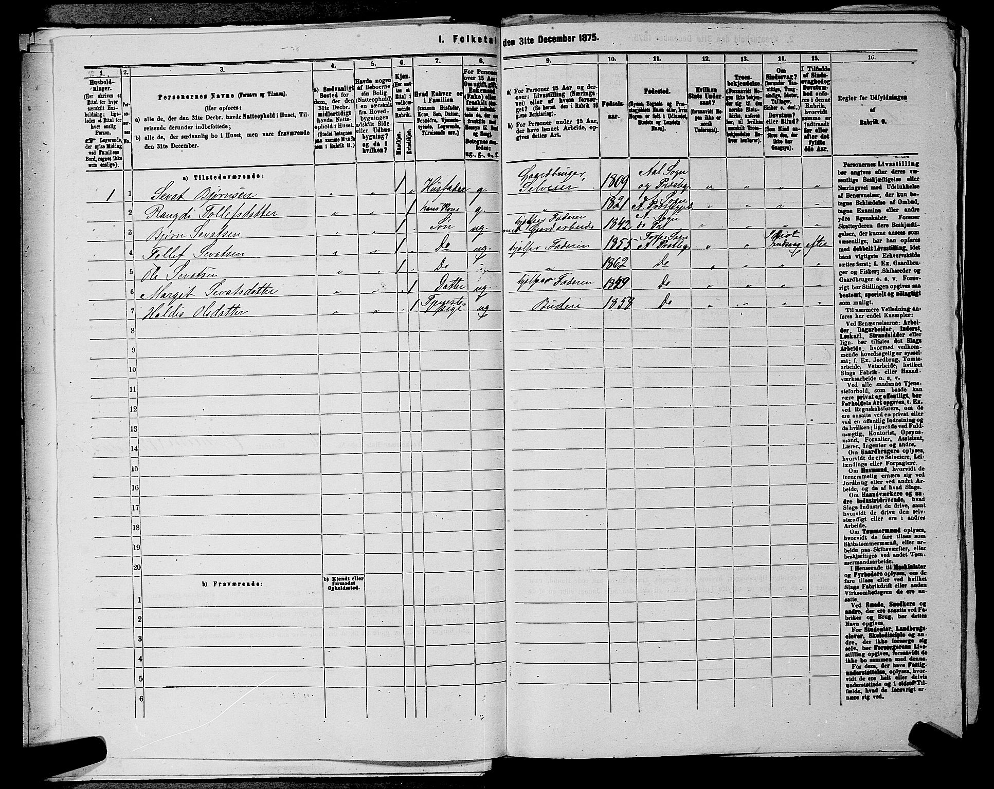 SAKO, 1875 census for 0619P Ål, 1875, p. 249