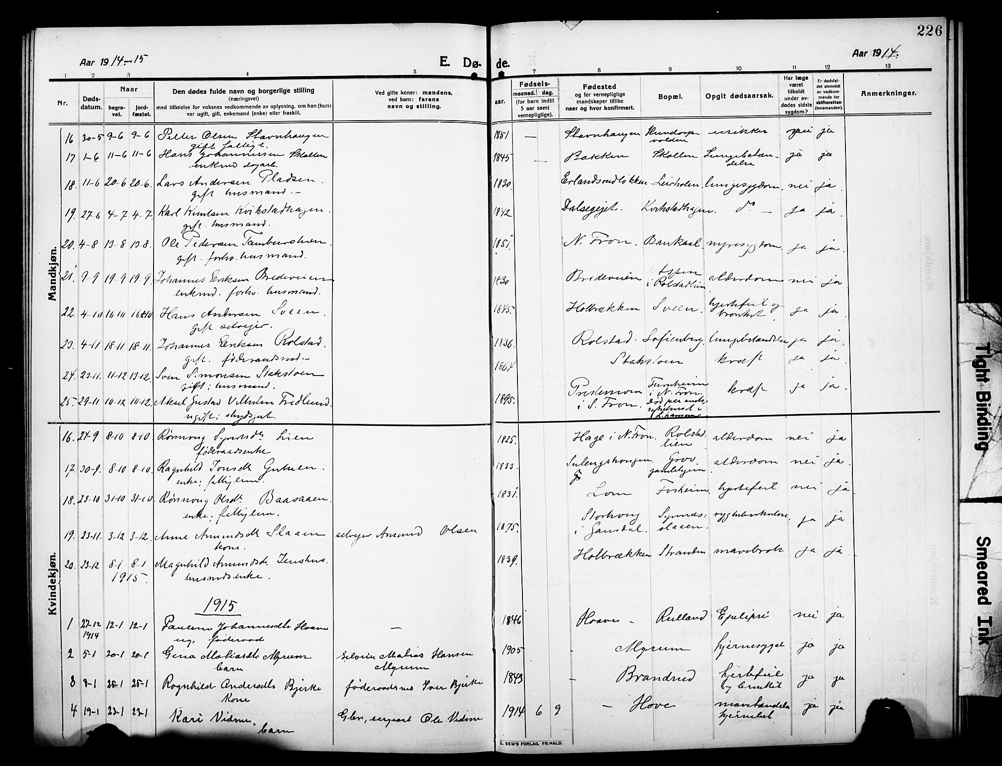 Sør-Fron prestekontor, AV/SAH-PREST-010/H/Ha/Hab/L0005: Parish register (copy) no. 5, 1912-1930, p. 226