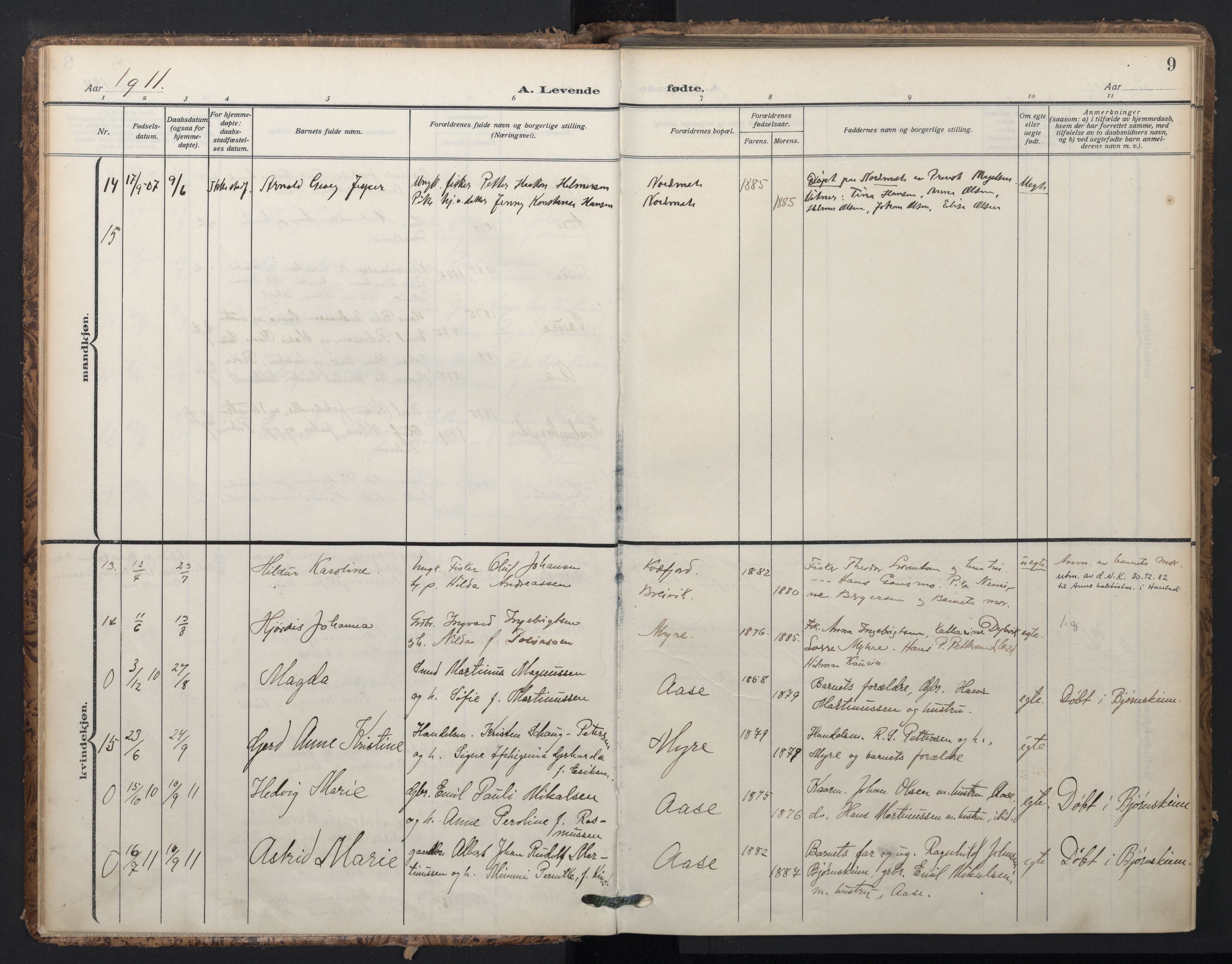 Ministerialprotokoller, klokkerbøker og fødselsregistre - Nordland, AV/SAT-A-1459/897/L1401: Parish register (official) no. 897A08, 1909-1921, p. 9