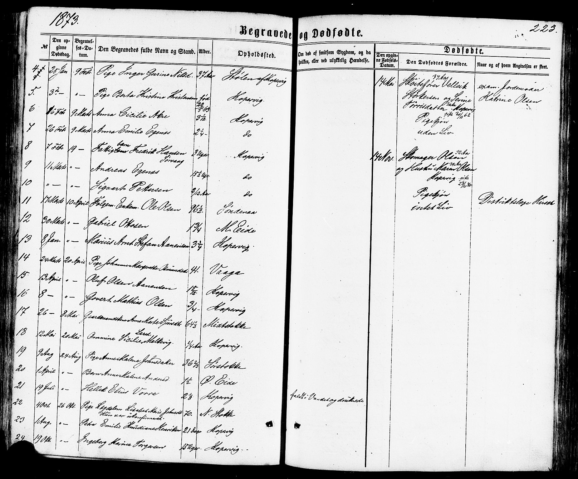 Avaldsnes sokneprestkontor, SAST/A -101851/H/Ha/Haa/L0011: Parish register (official) no. A 11, 1861-1880, p. 223