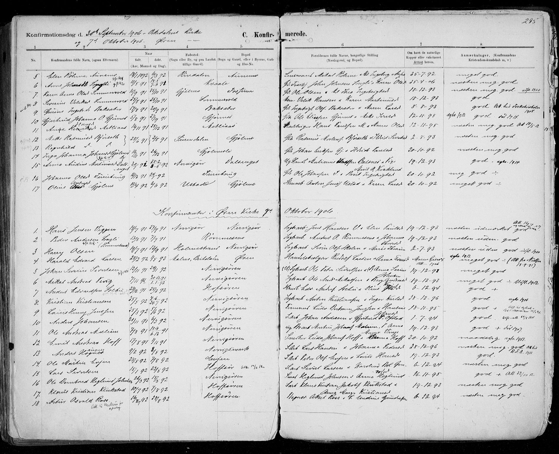 Ministerialprotokoller, klokkerbøker og fødselsregistre - Sør-Trøndelag, SAT/A-1456/668/L0811: Parish register (official) no. 668A11, 1894-1913, p. 295