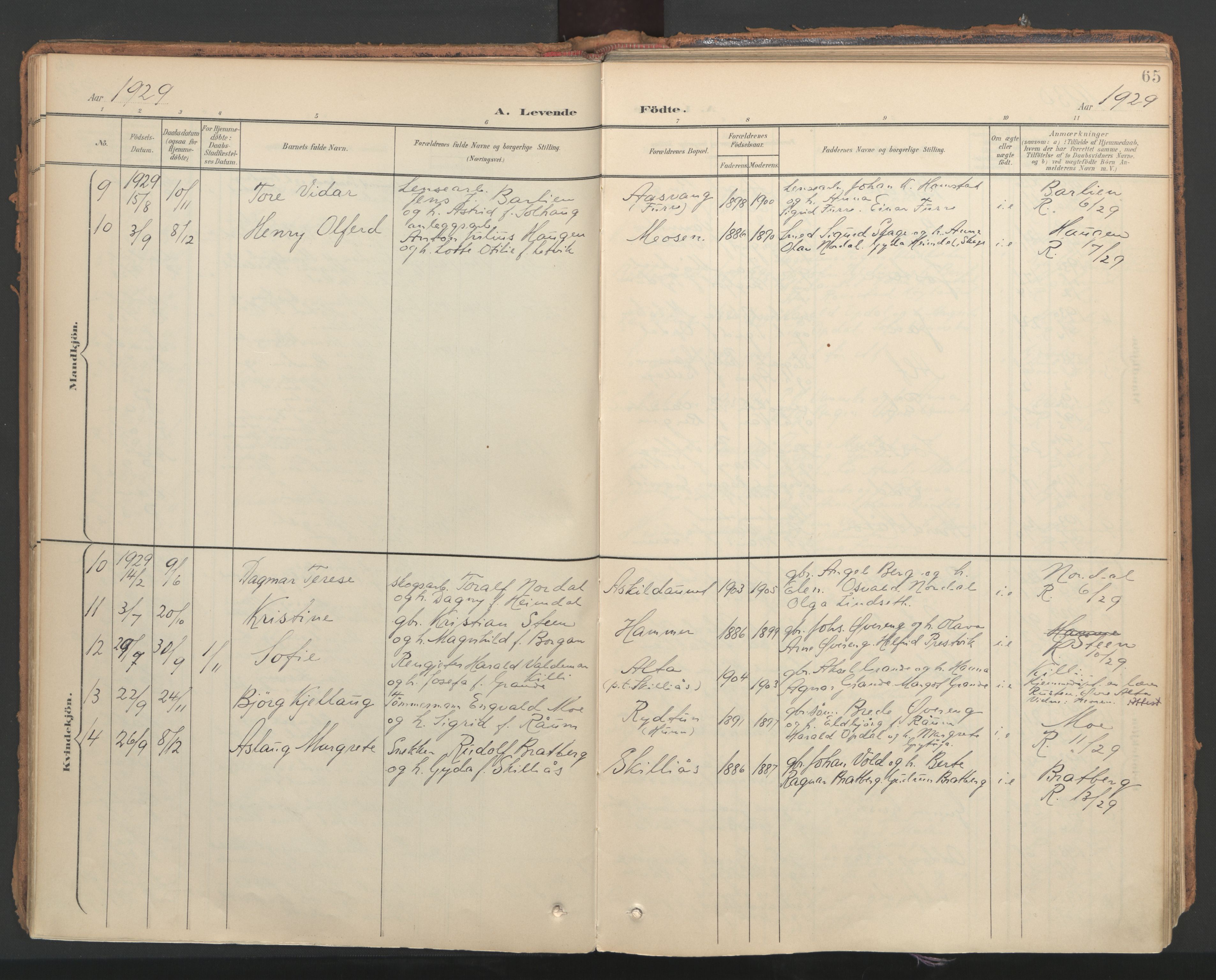 Ministerialprotokoller, klokkerbøker og fødselsregistre - Nord-Trøndelag, AV/SAT-A-1458/766/L0564: Parish register (official) no. 767A02, 1900-1932, p. 65