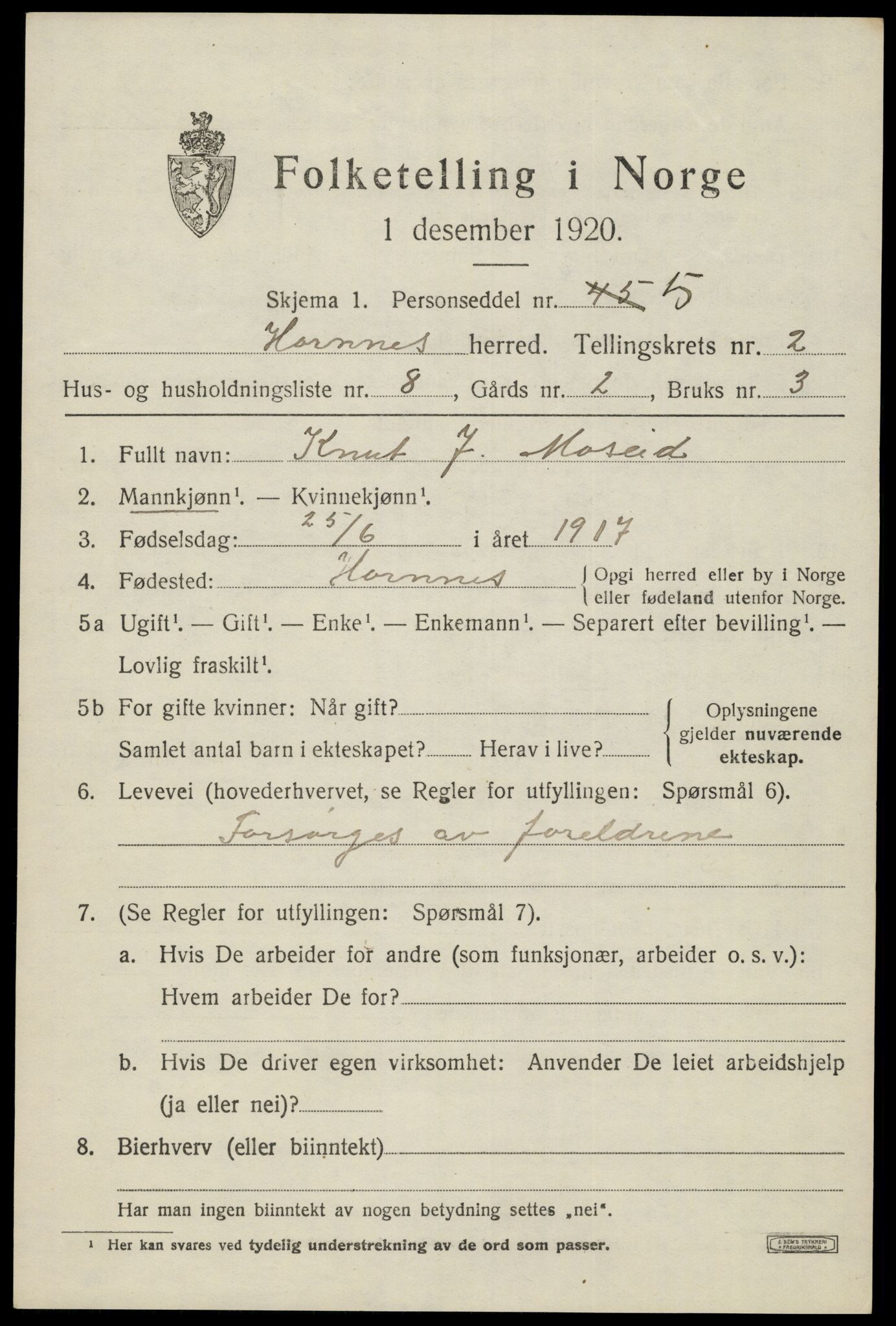 SAK, 1920 census for Hornnes, 1920, p. 789