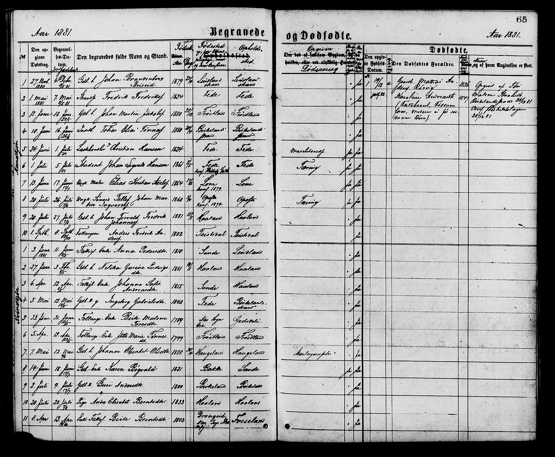 Kvinesdal sokneprestkontor, AV/SAK-1111-0026/F/Fa/Faa/L0003: Parish register (official) no. A 3, 1877-1882, p. 65