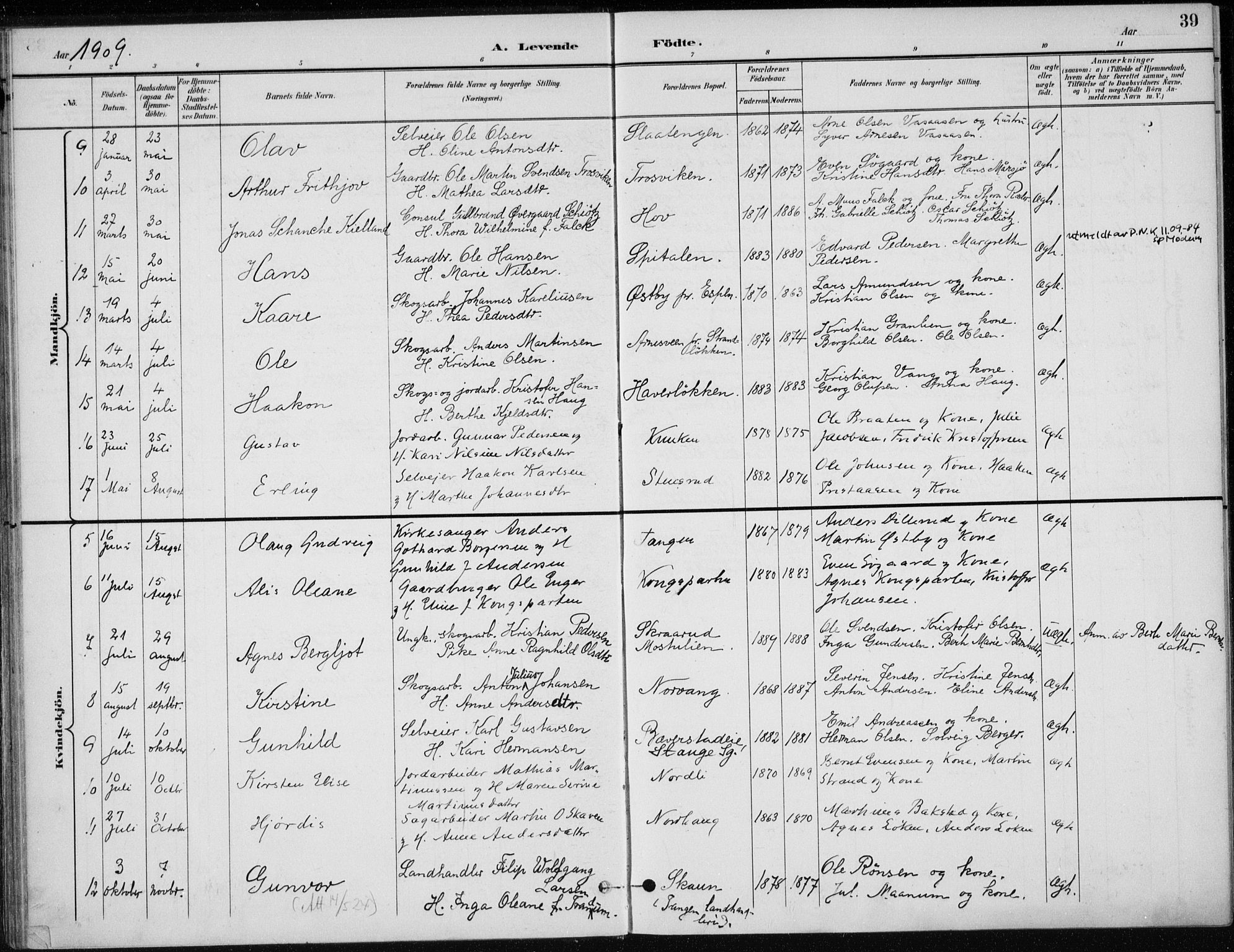 Stange prestekontor, AV/SAH-PREST-002/K/L0023: Parish register (official) no. 23, 1897-1920, p. 39