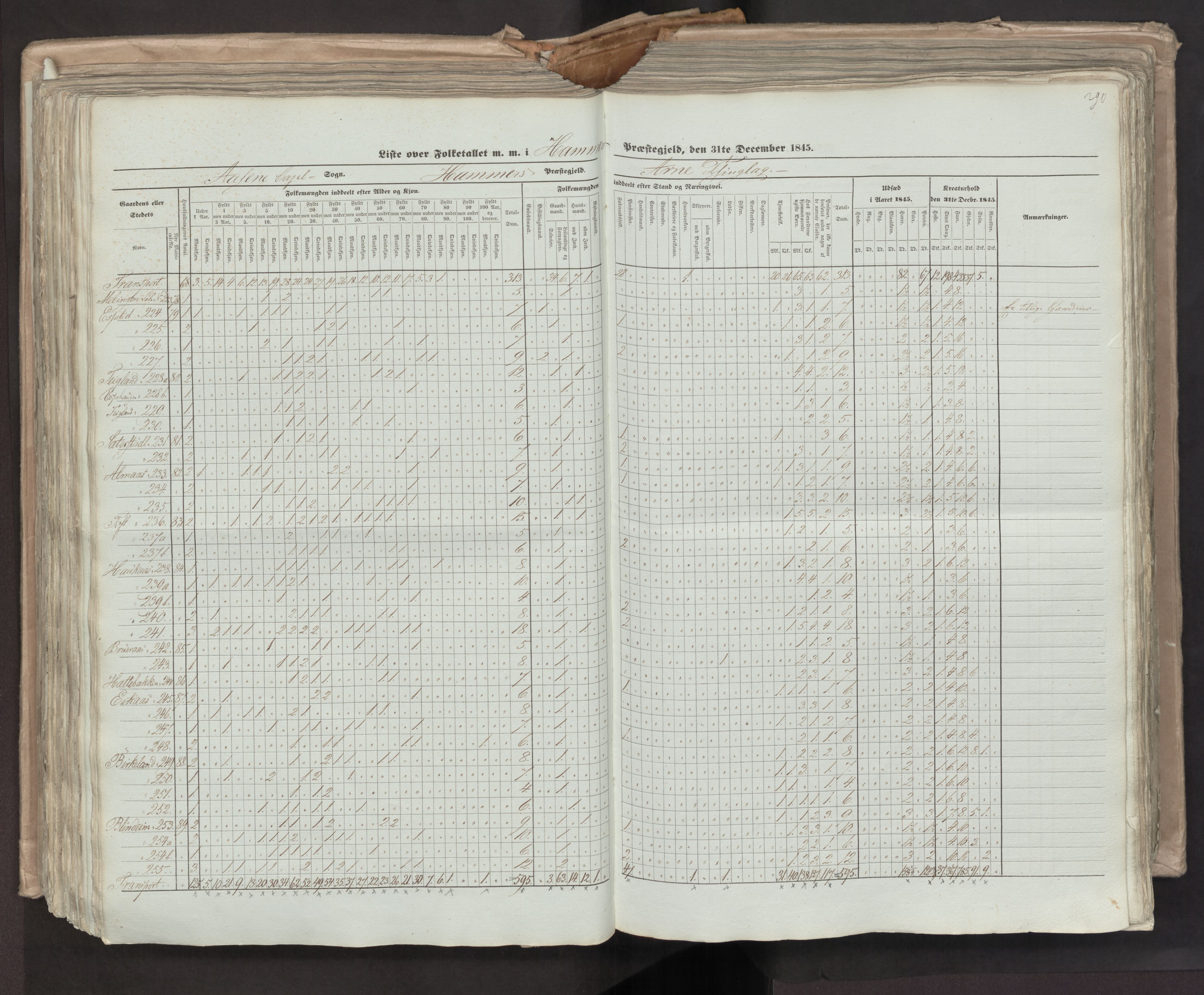 RA, Census 1845, vol. 7: Søndre Bergenhus amt og Nordre Bergenhus amt, 1845, p. 290