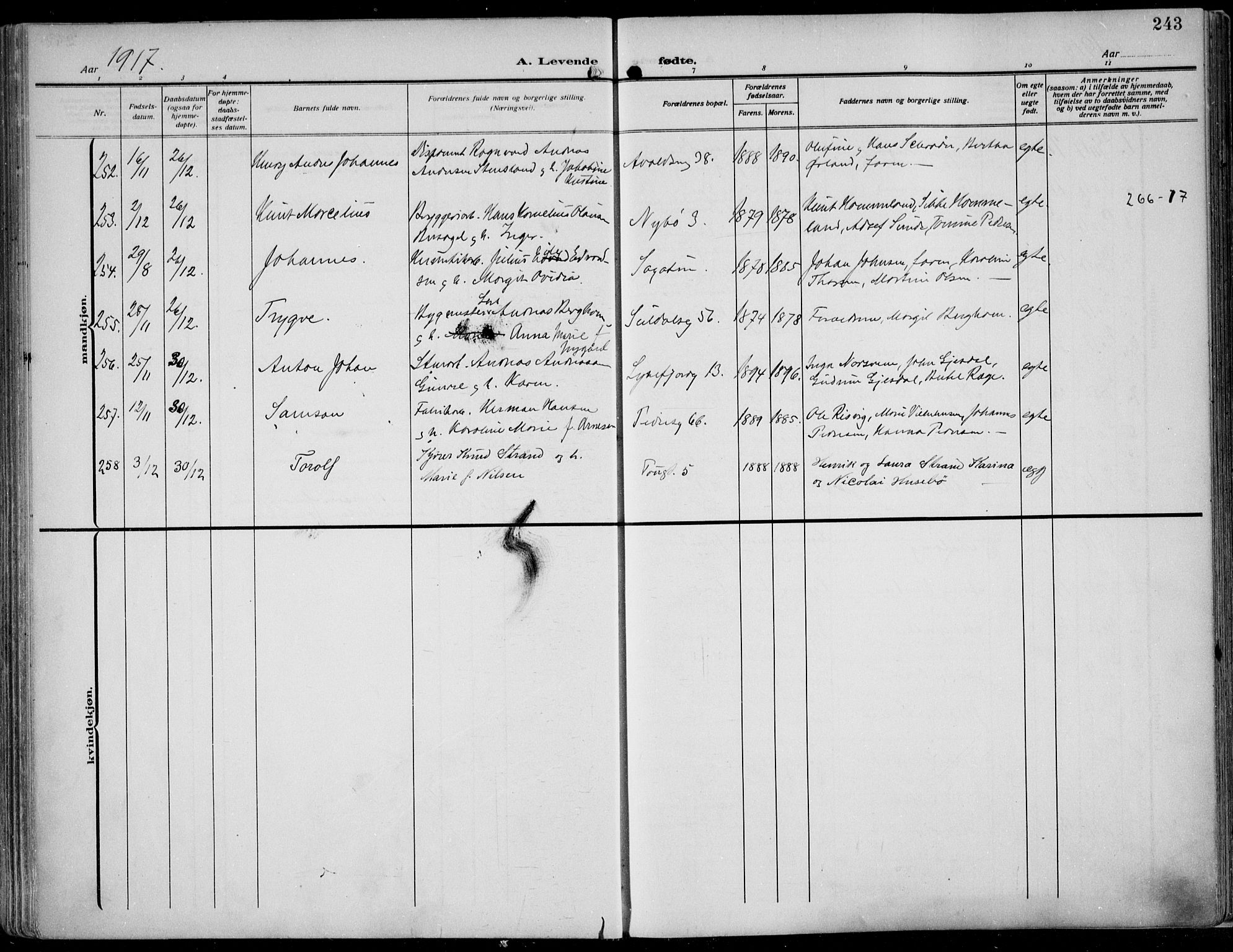 St. Johannes sokneprestkontor, AV/SAST-A-101814/002/B/L0002: Parish register (official) no. A 9, 1911-1921, p. 243