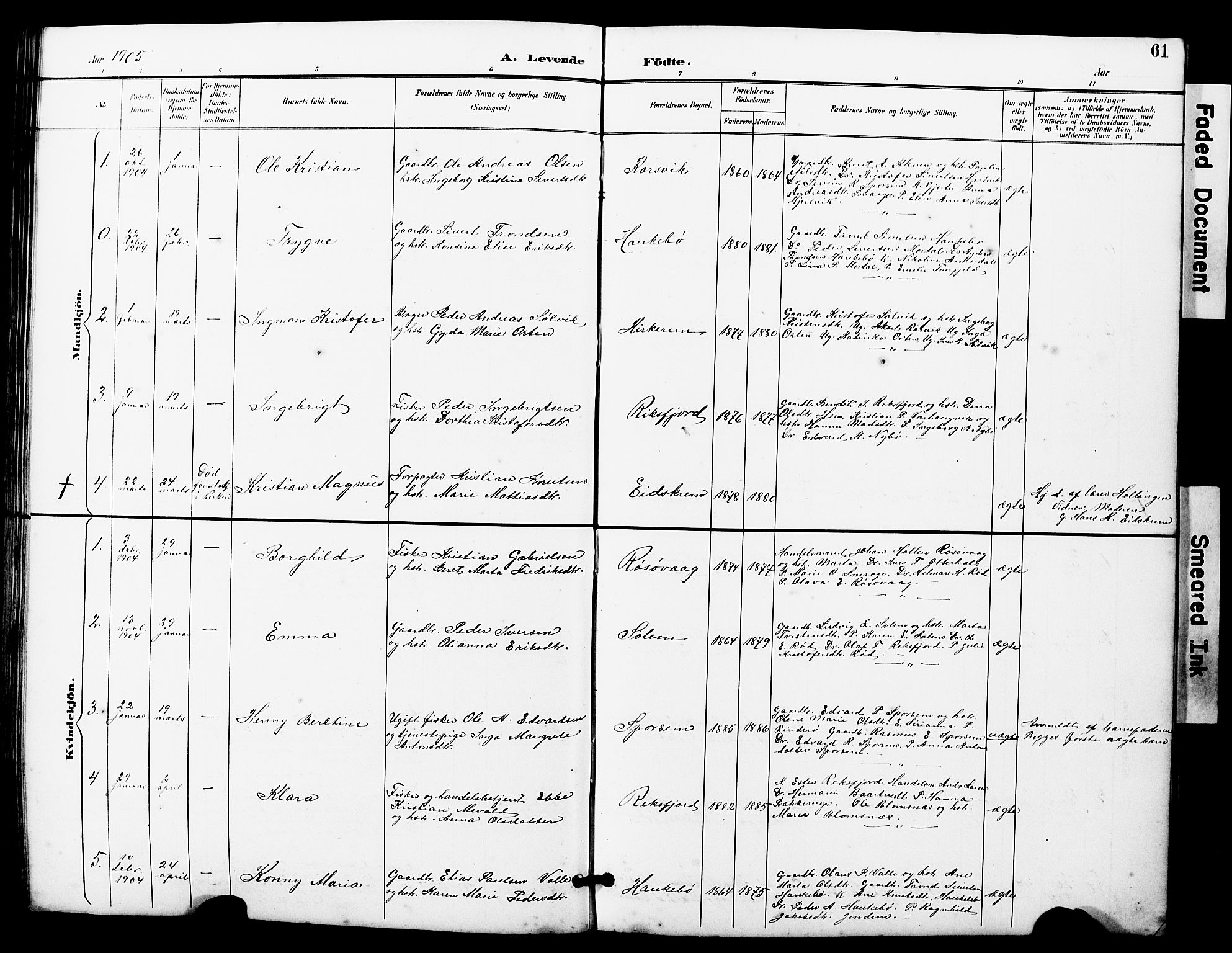 Ministerialprotokoller, klokkerbøker og fødselsregistre - Møre og Romsdal, SAT/A-1454/560/L0725: Parish register (copy) no. 560C02, 1895-1930, p. 61
