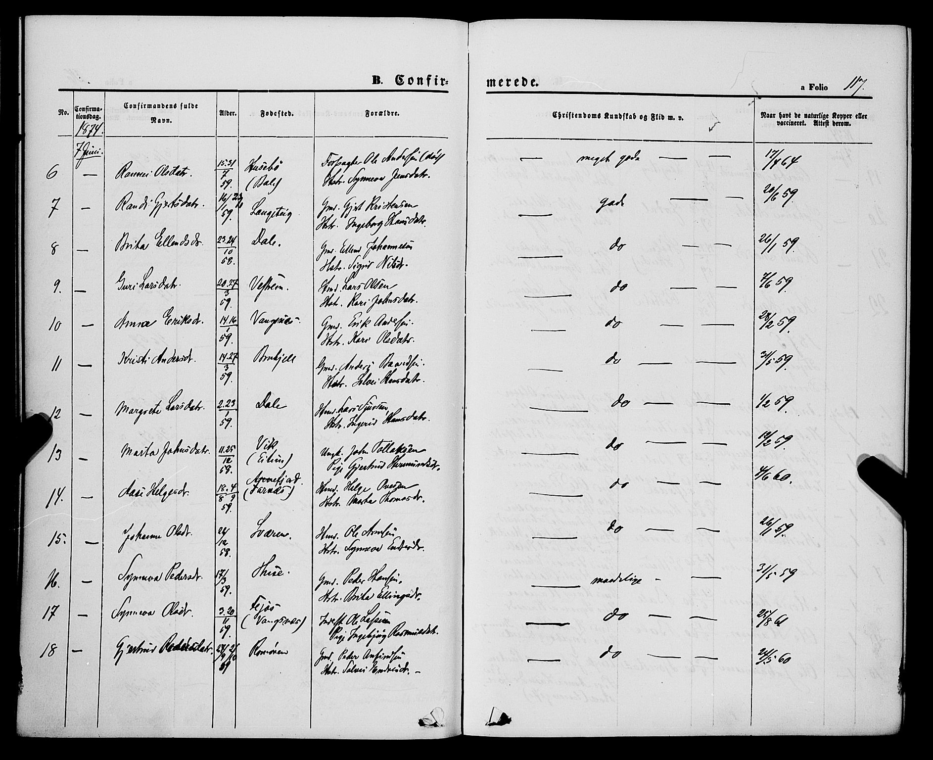 Balestrand sokneprestembete, AV/SAB-A-79601/H/Haa/Haaa/L0003: Parish register (official) no. A 3, 1867-1878, p. 117