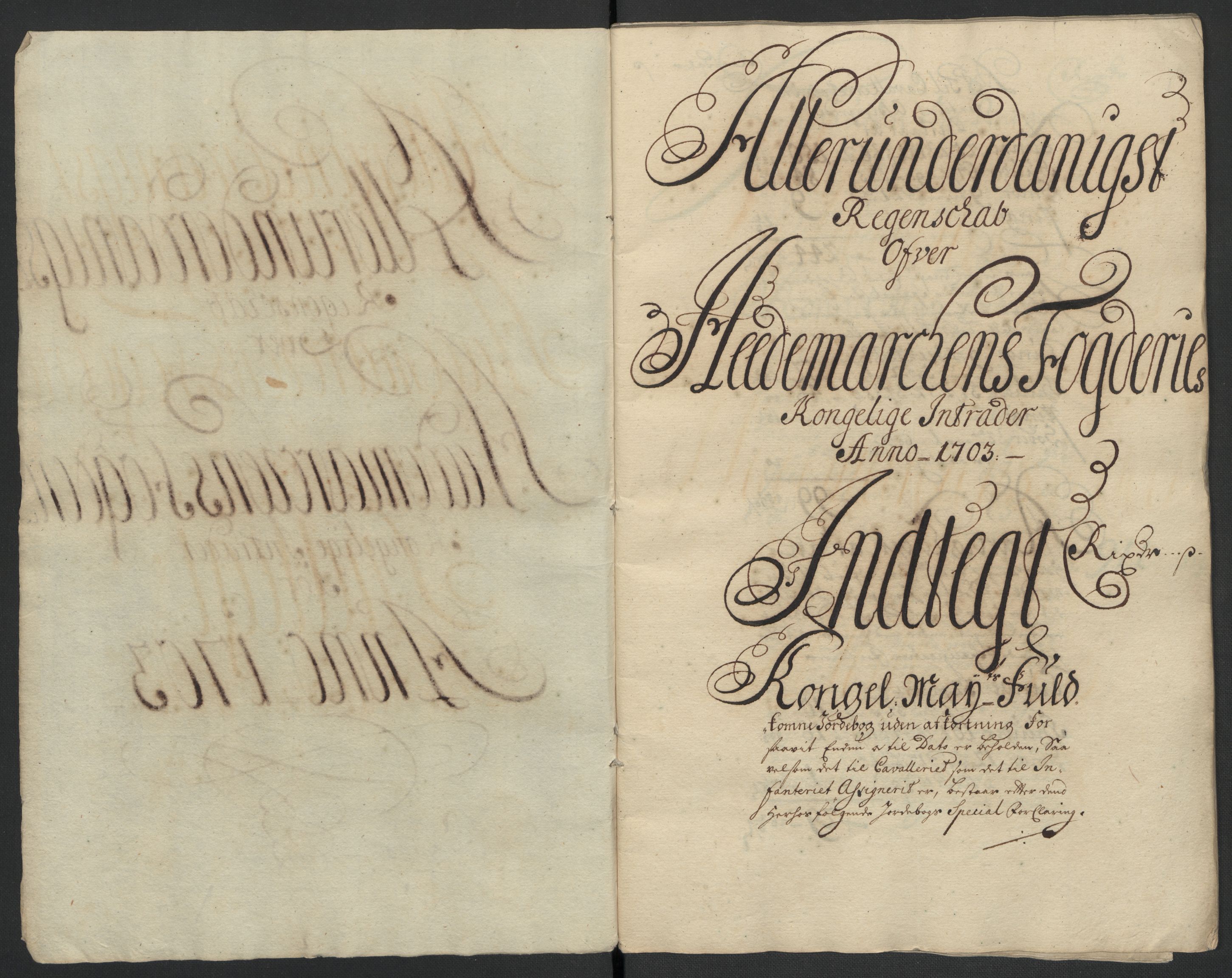 Rentekammeret inntil 1814, Reviderte regnskaper, Fogderegnskap, AV/RA-EA-4092/R16/L1041: Fogderegnskap Hedmark, 1703-1704, p. 4