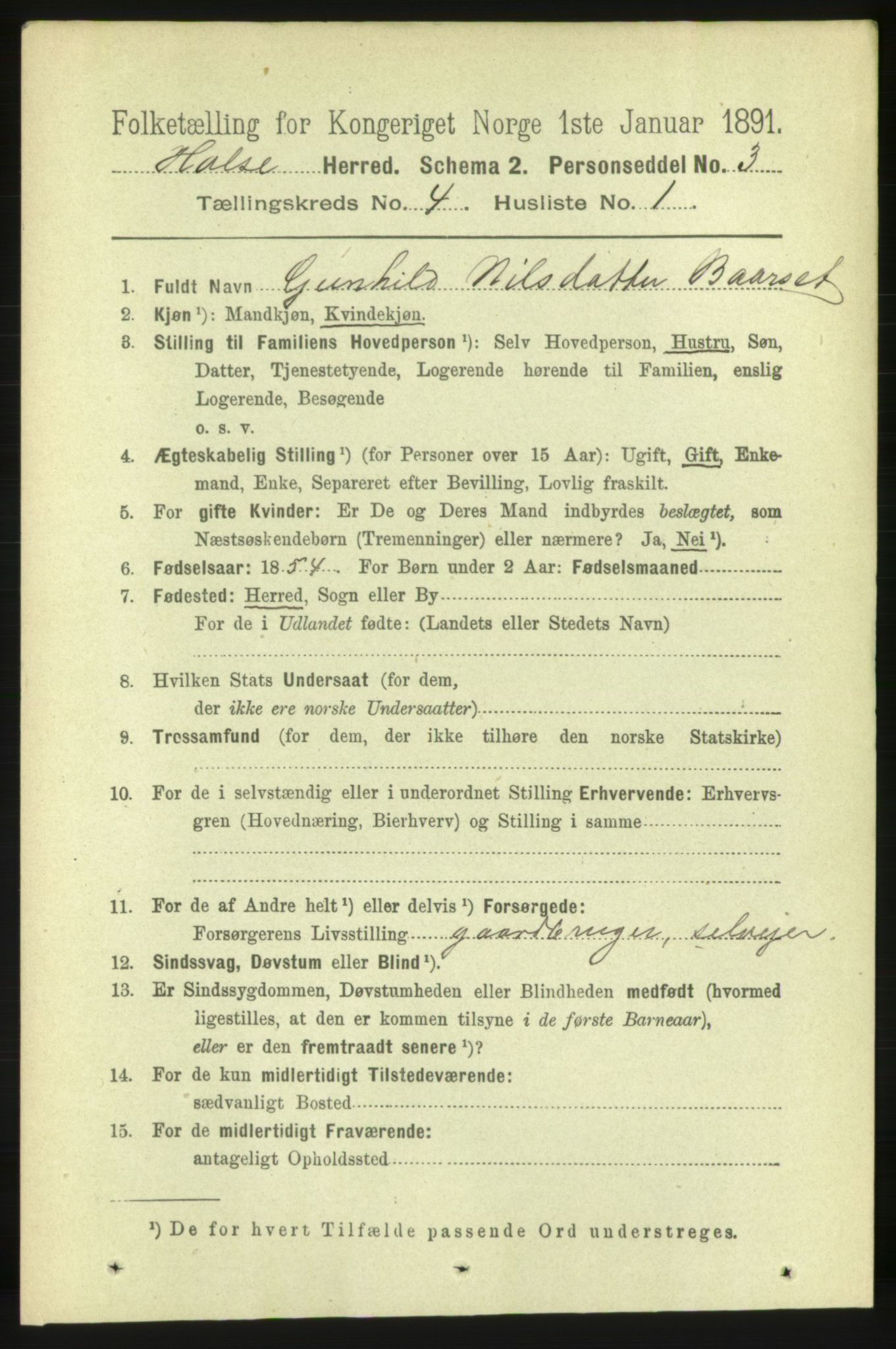 RA, 1891 census for 1571 Halsa, 1891, p. 960