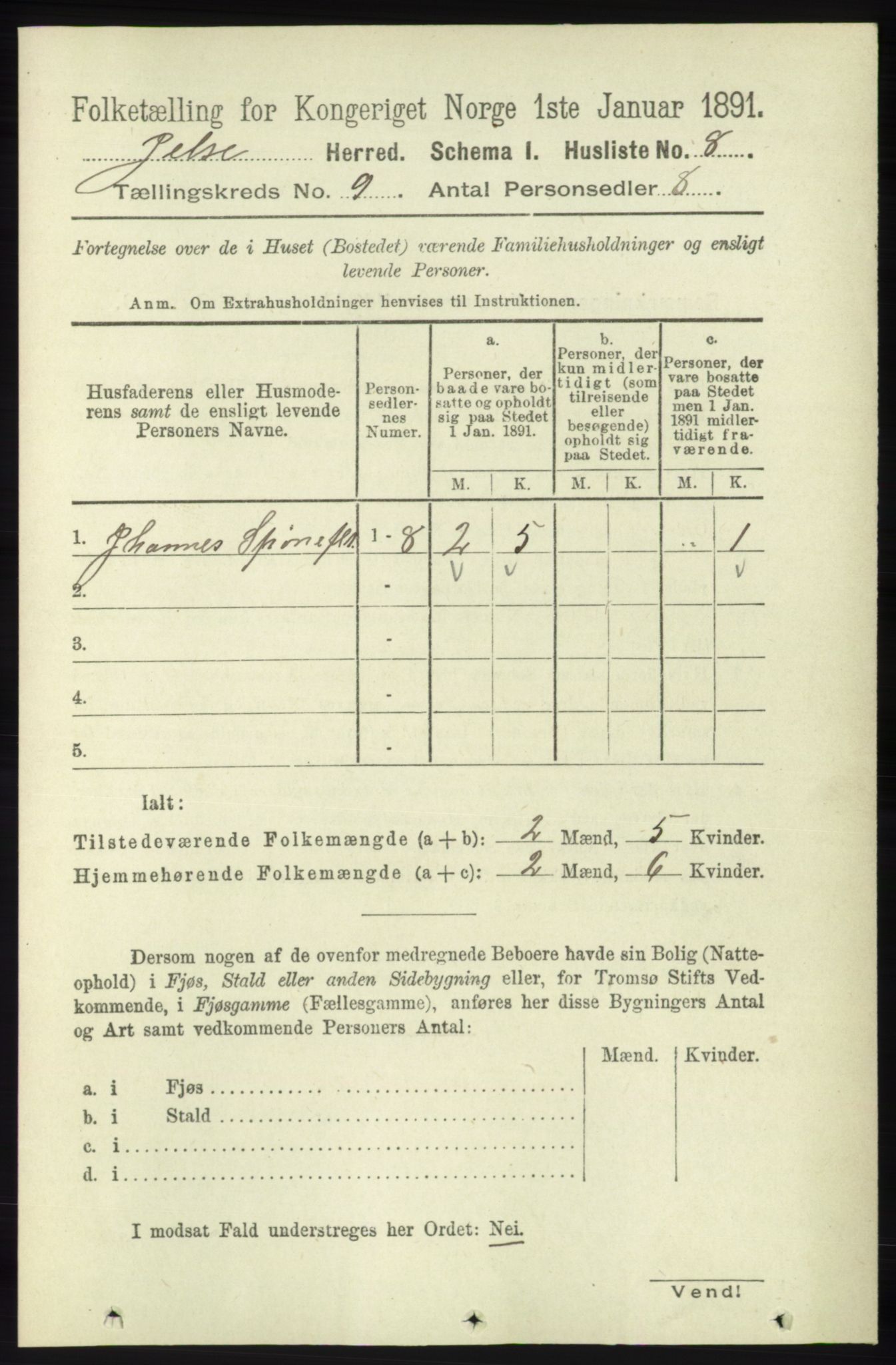 RA, 1891 census for 1138 Jelsa, 1891, p. 2010