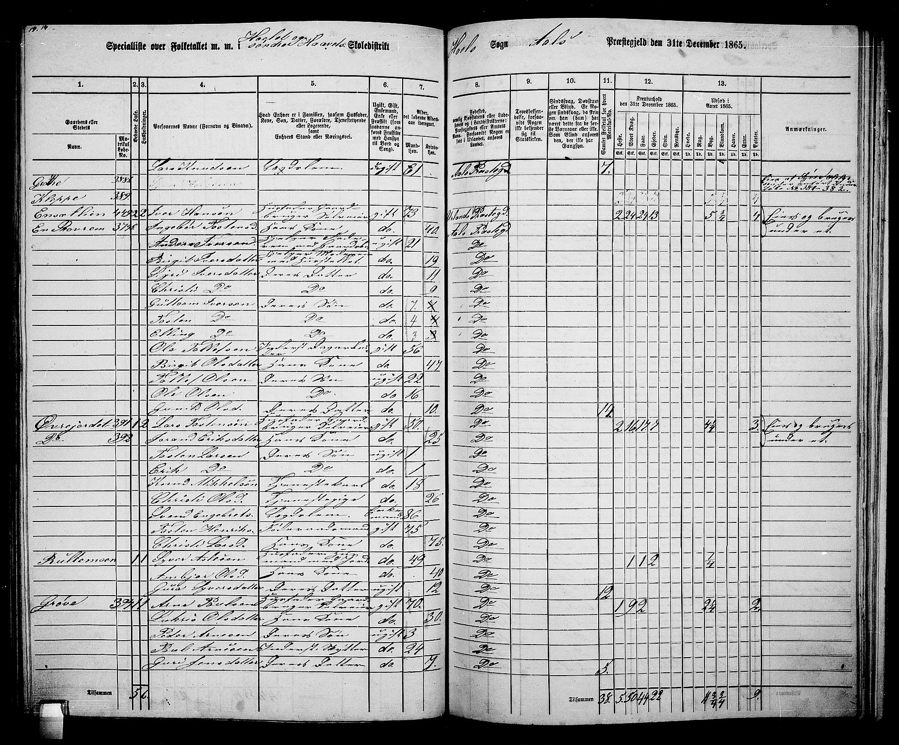 RA, 1865 census for Ål, 1865, p. 197