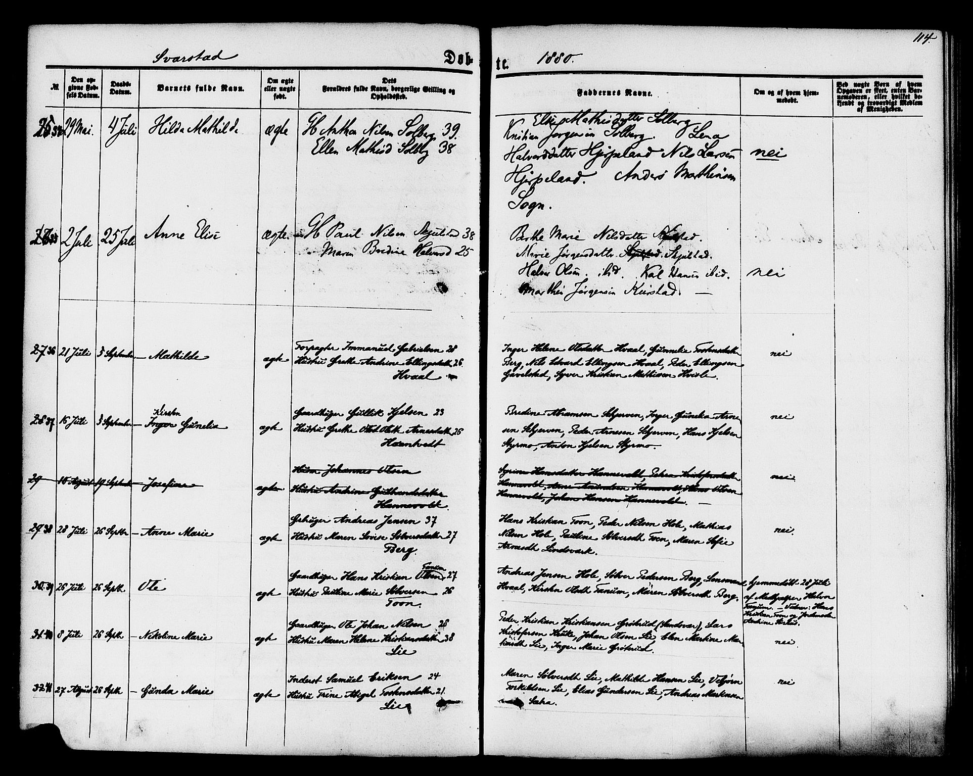 Lardal kirkebøker, AV/SAKO-A-350/F/Fa/L0007: Parish register (official) no. I 7, 1861-1880, p. 114