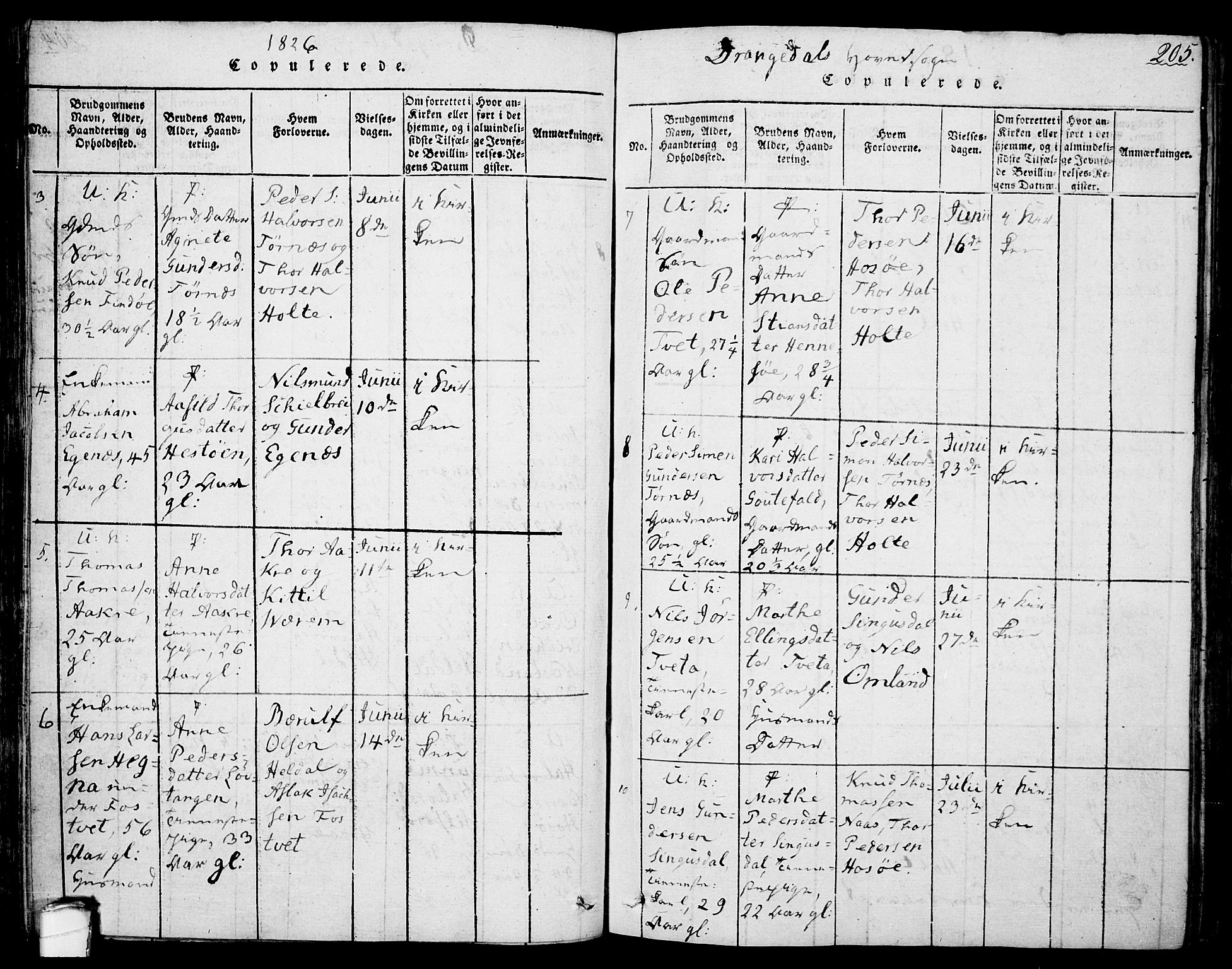 Drangedal kirkebøker, SAKO/A-258/F/Fa/L0005: Parish register (official) no. 5 /1, 1814-1831, p. 205