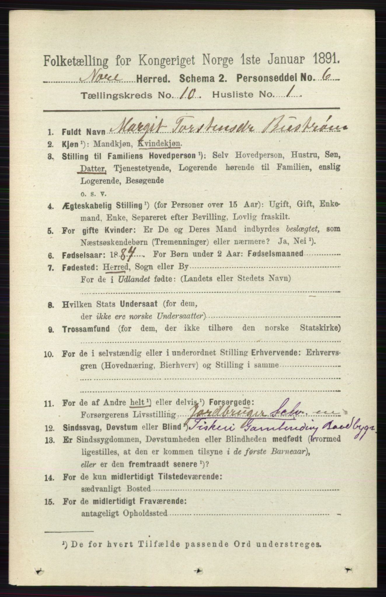 RA, 1891 census for 0633 Nore, 1891, p. 3550