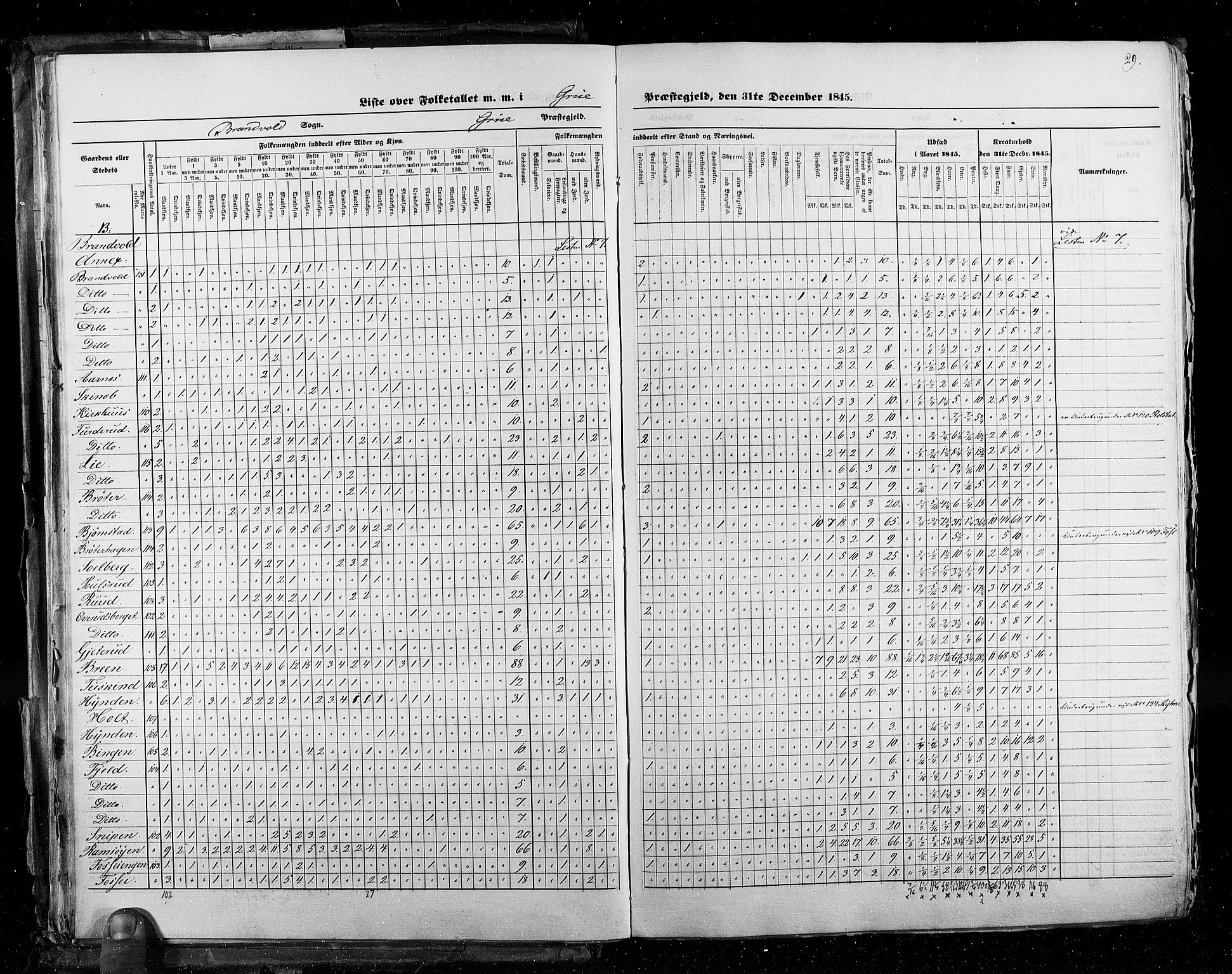RA, Census 1845, vol. 3: Hedemarken amt og Kristians amt, 1845, p. 29