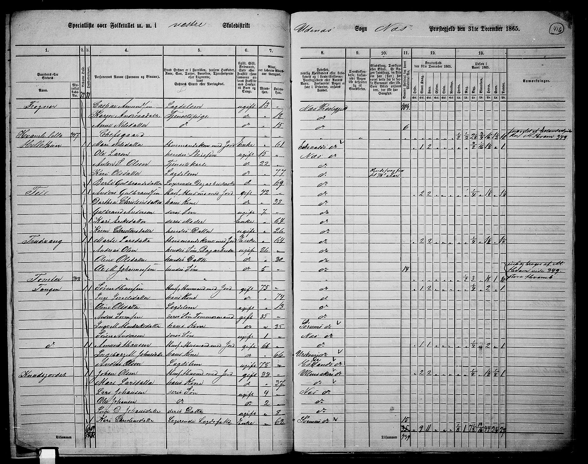 RA, 1865 census for Nes, 1865, p. 382