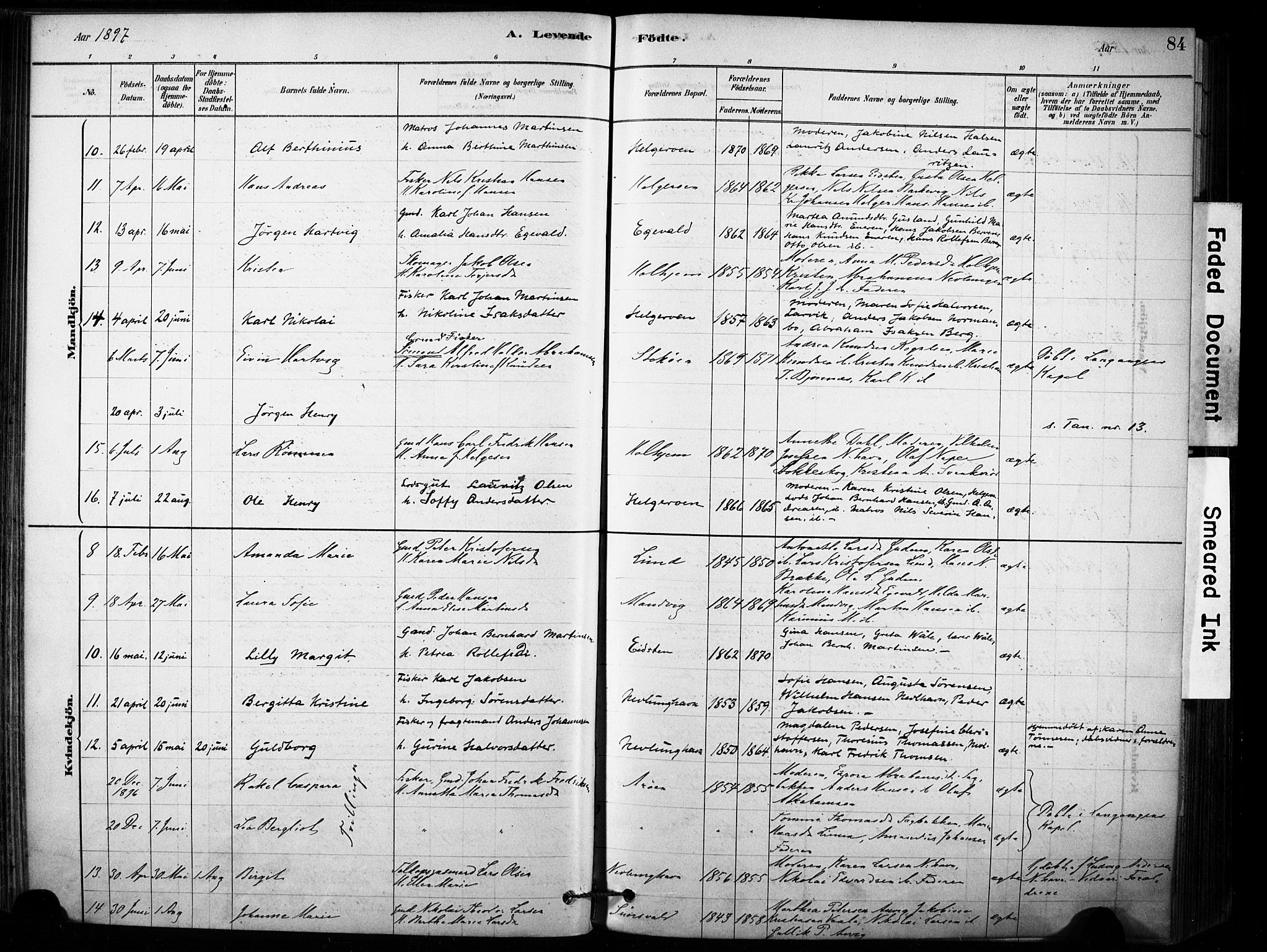 Brunlanes kirkebøker, AV/SAKO-A-342/F/Fb/L0001: Parish register (official) no. II 1, 1878-1899, p. 84