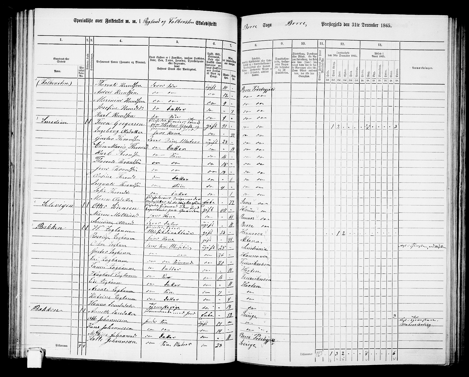 RA, 1865 census for Borre, 1865, p. 123