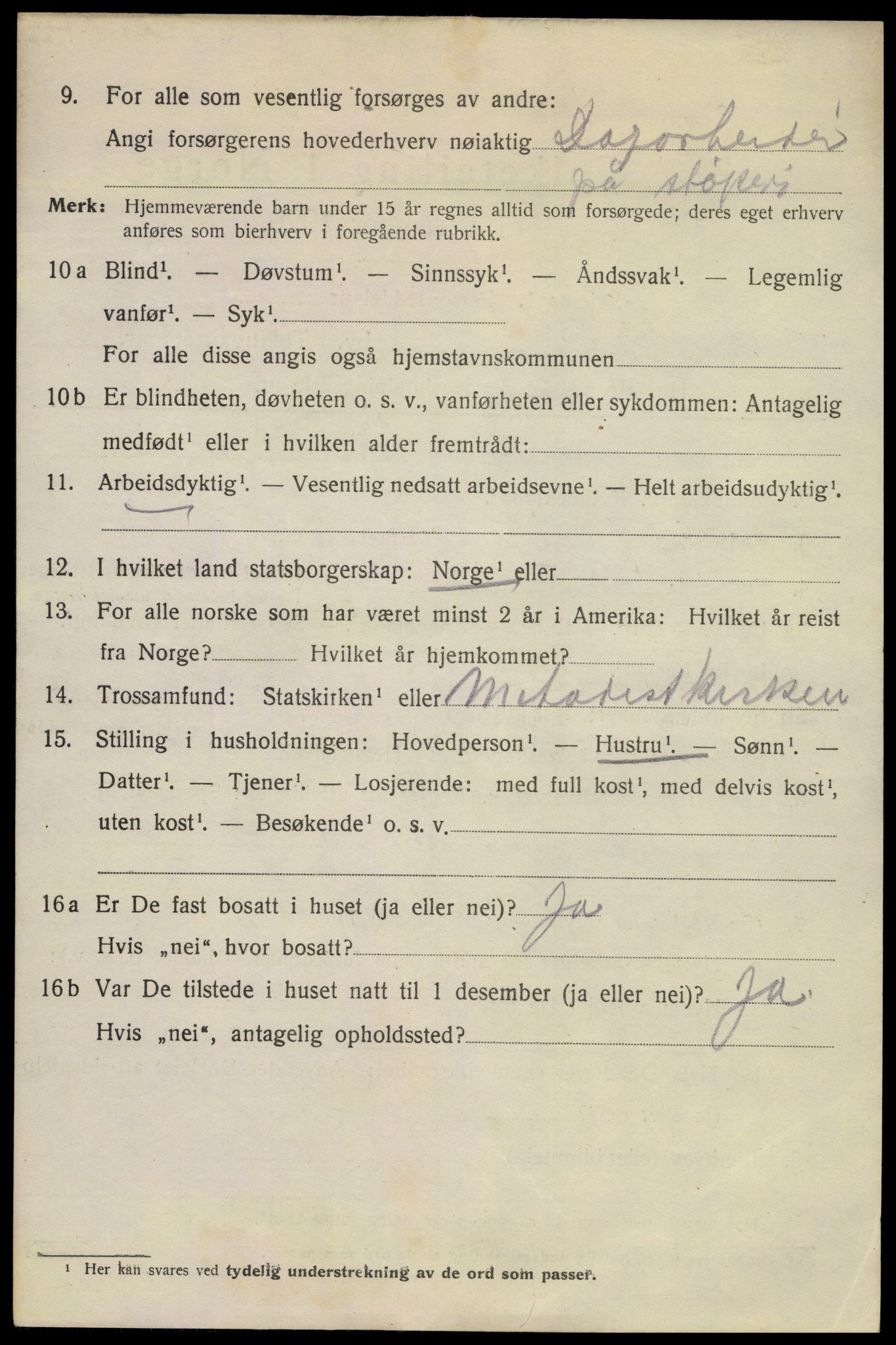 SAKO, 1920 census for Kragerø, 1920, p. 11974