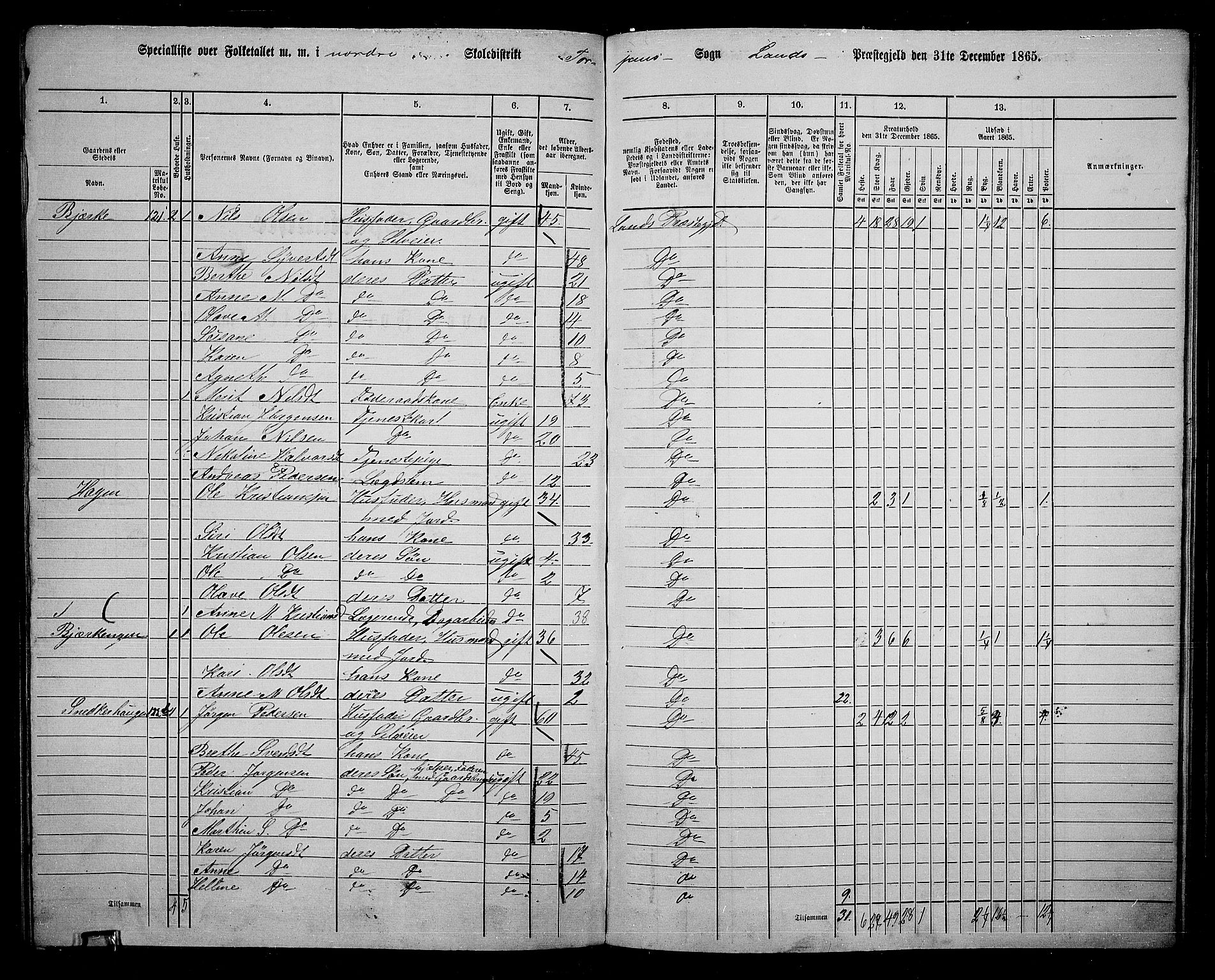 RA, 1865 census for Land, 1865, p. 176