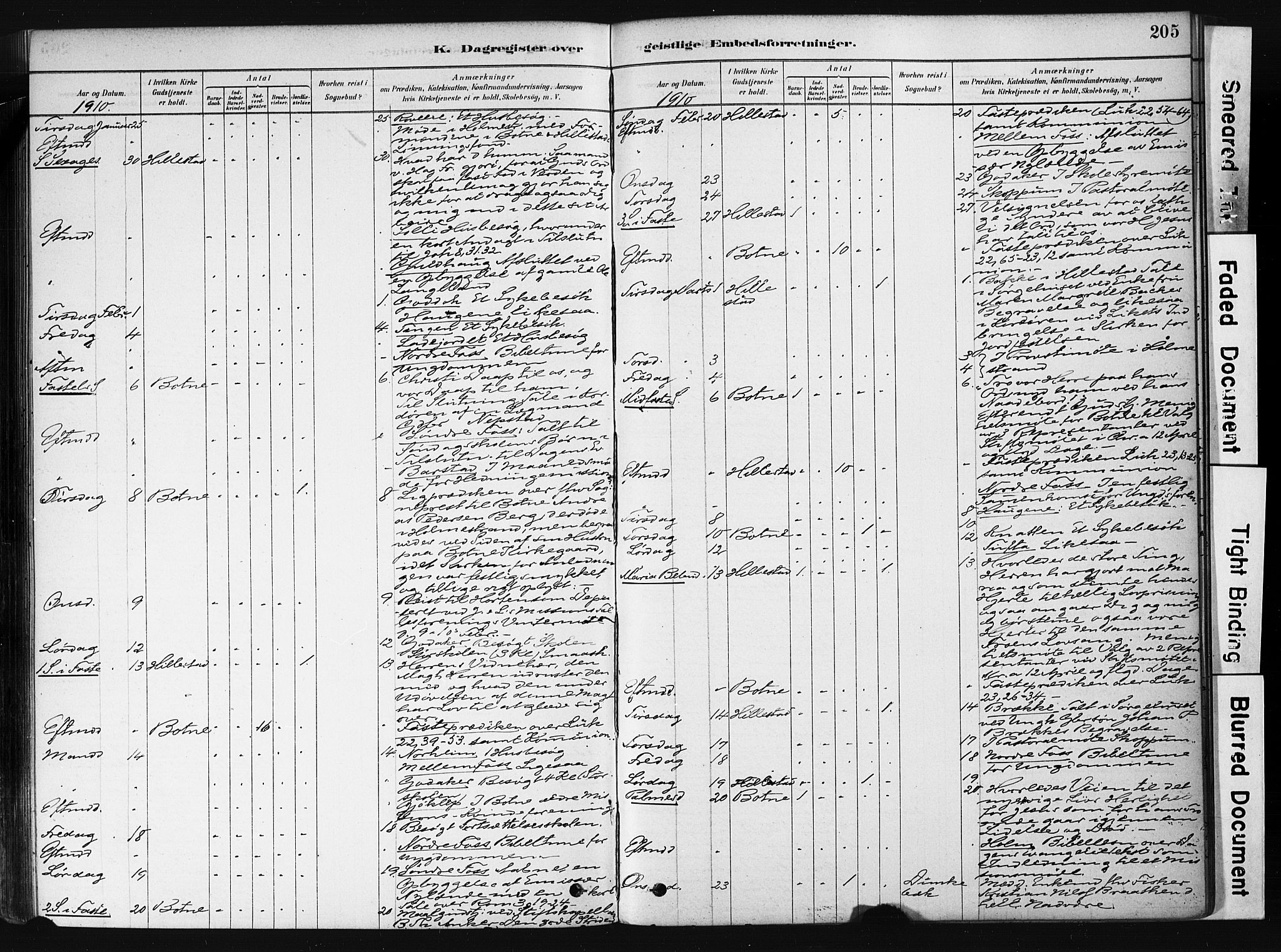 Botne kirkebøker, AV/SAKO-A-340/F/Fb/L0001: Parish register (official) no. II 1, 1878-1902, p. 205