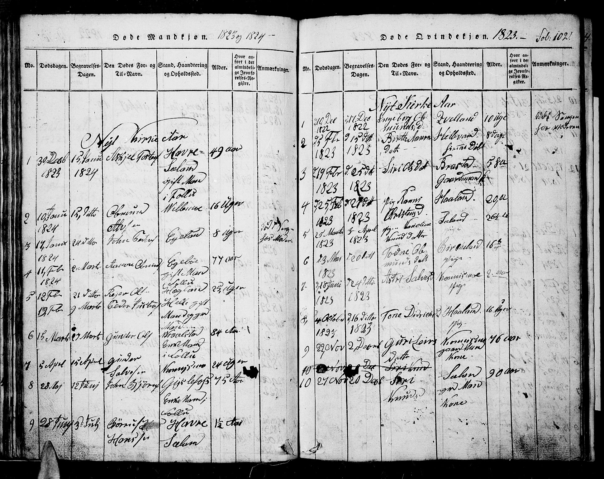 Nord-Audnedal sokneprestkontor, SAK/1111-0032/F/Fb/Fba/L0001: Parish register (copy) no. B 1, 1815-1856, p. 102