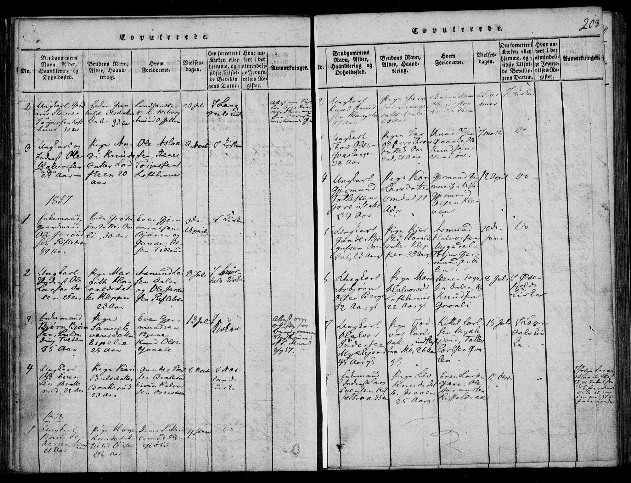 Lårdal kirkebøker, SAKO/A-284/F/Fb/L0001: Parish register (official) no. II 1, 1815-1860, p. 203