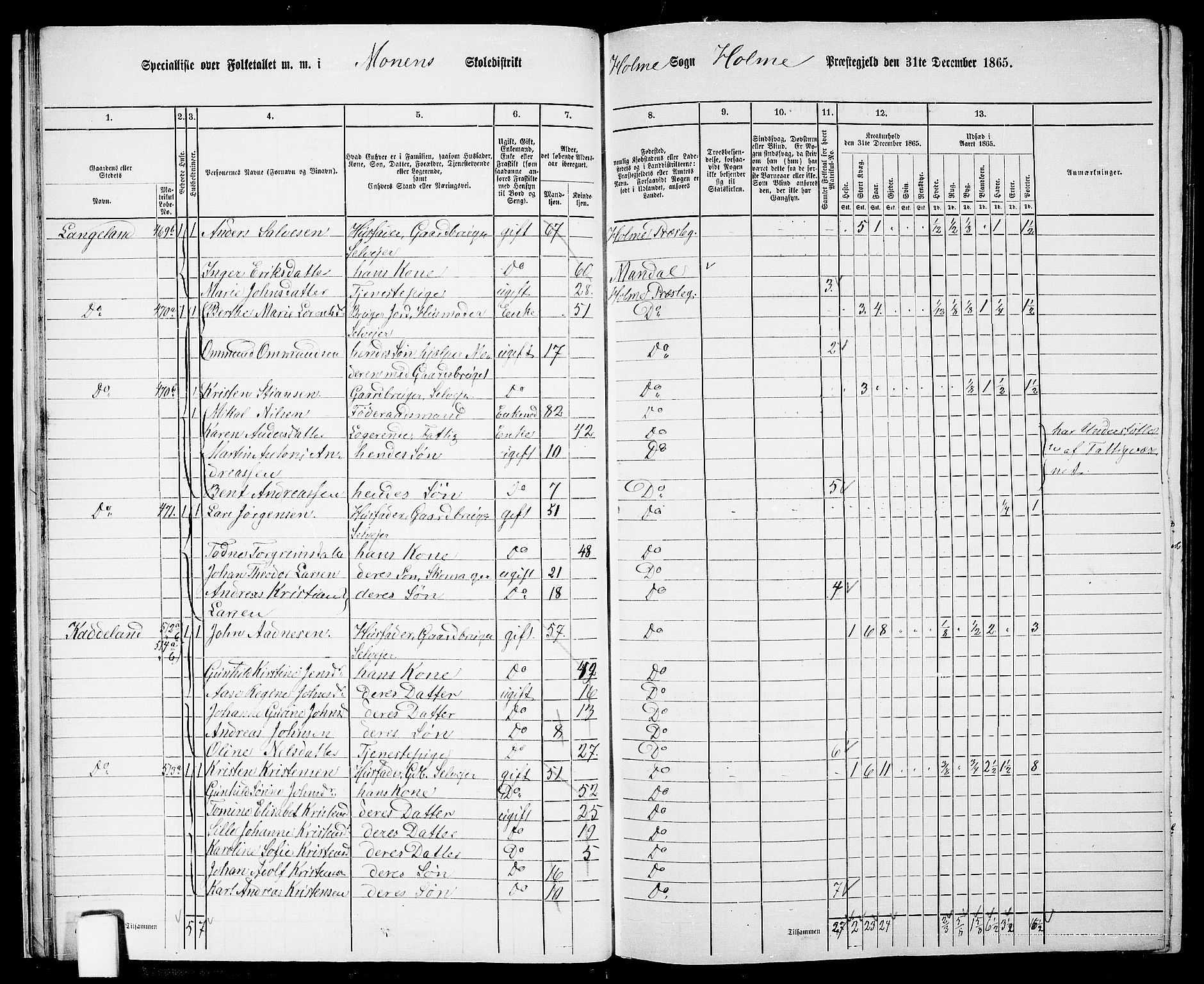 RA, 1865 census for Holum, 1865, p. 26