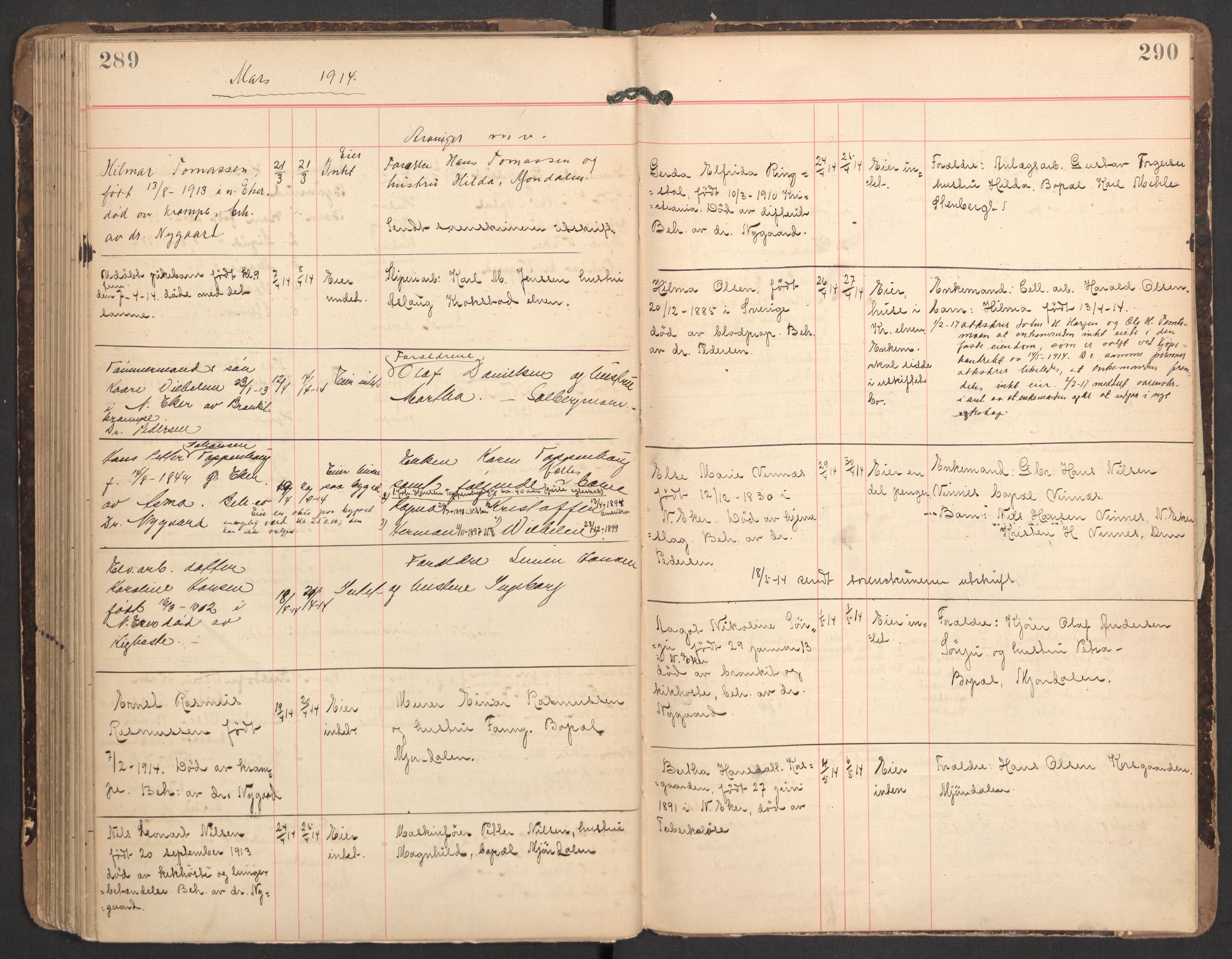 Nedre Eiker lensmannskontor, AV/SAKO-A-530/H/Ha/L0001: Dødsfallsprotokoll, 1887-1915, p. 289-290
