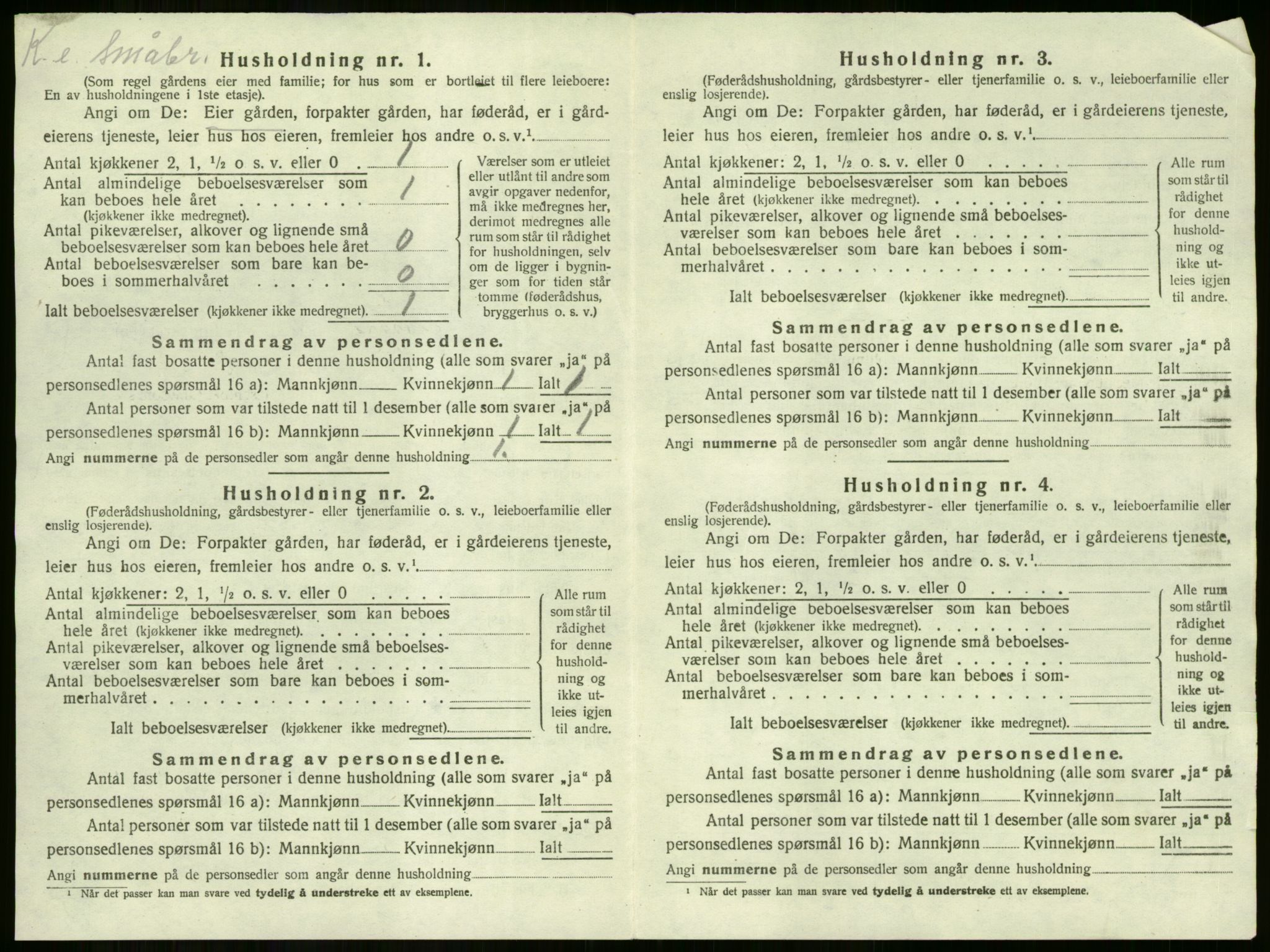 SAKO, 1920 census for Hole, 1920, p. 966