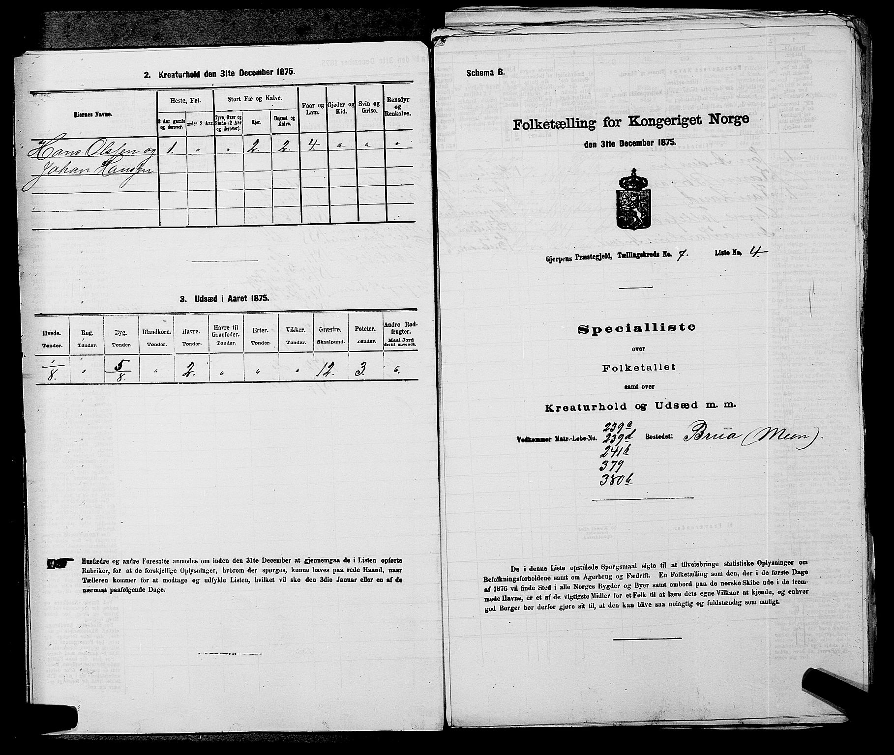 SAKO, 1875 census for 0812P Gjerpen, 1875, p. 852