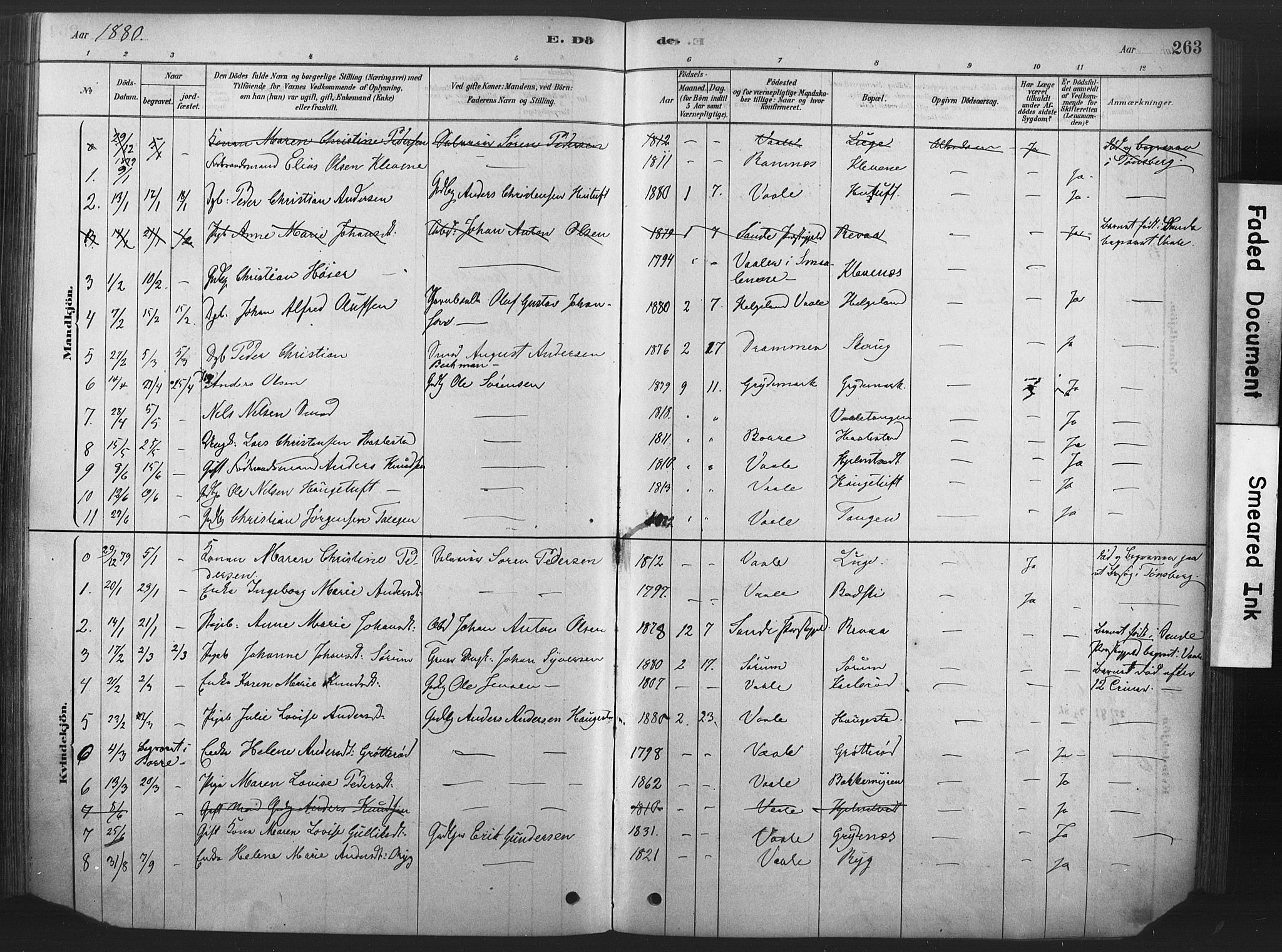 Våle kirkebøker, SAKO/A-334/F/Fa/L0011: Parish register (official) no. I 11, 1878-1906, p. 263