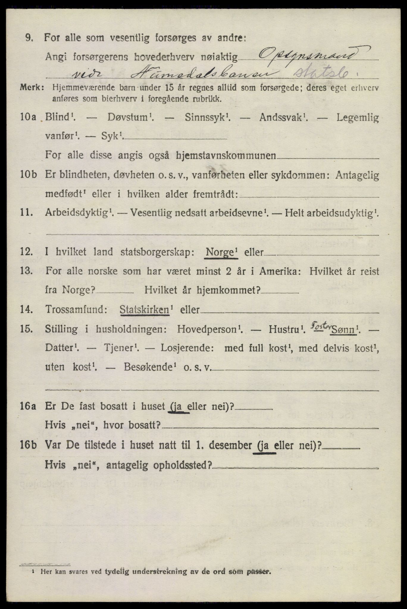 SAKO, 1920 census for Nore, 1920, p. 1043