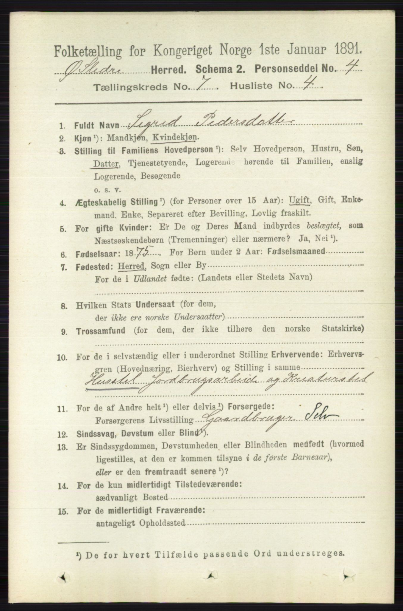 RA, 1891 census for 0544 Øystre Slidre, 1891, p. 2187
