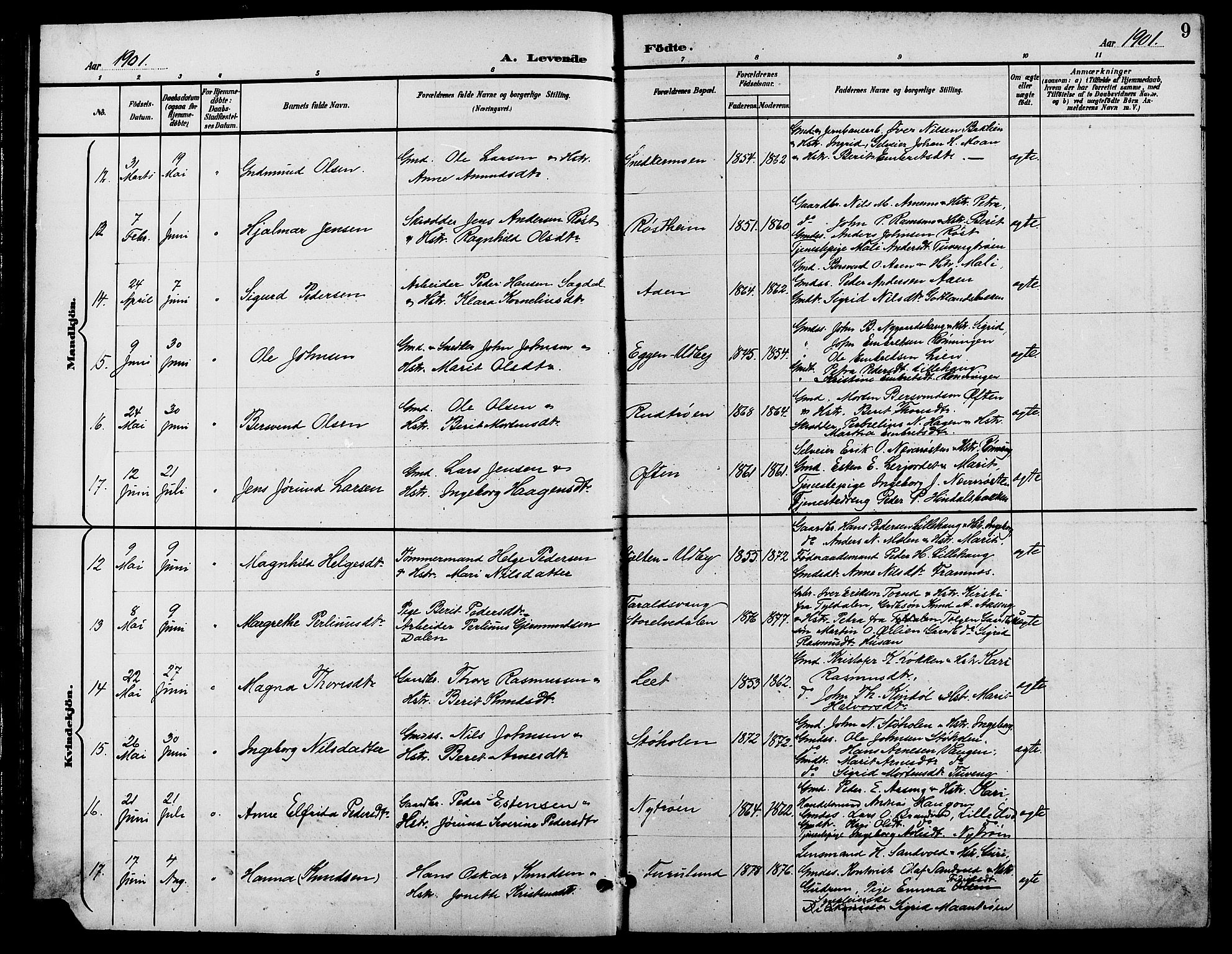 Tynset prestekontor, AV/SAH-PREST-058/H/Ha/Hab/L0009: Parish register (copy) no. 9, 1900-1914, p. 9