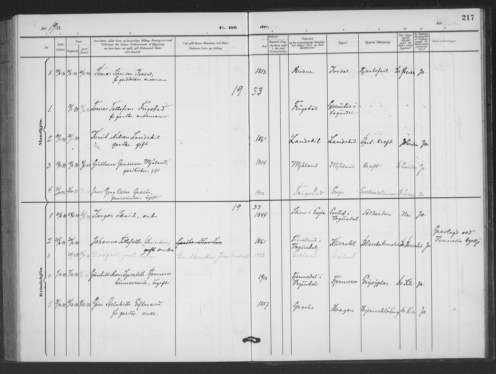 Evje sokneprestkontor, AV/SAK-1111-0008/F/Fb/Fbc/L0005: Parish register (copy) no. B 5, 1901-1935, p. 217