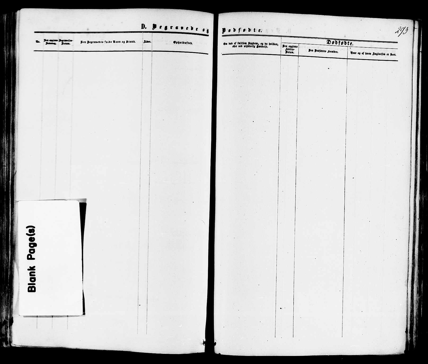 Sande Kirkebøker, AV/SAKO-A-53/F/Fa/L0005: Parish register (official) no. 5, 1865-1877, p. 293