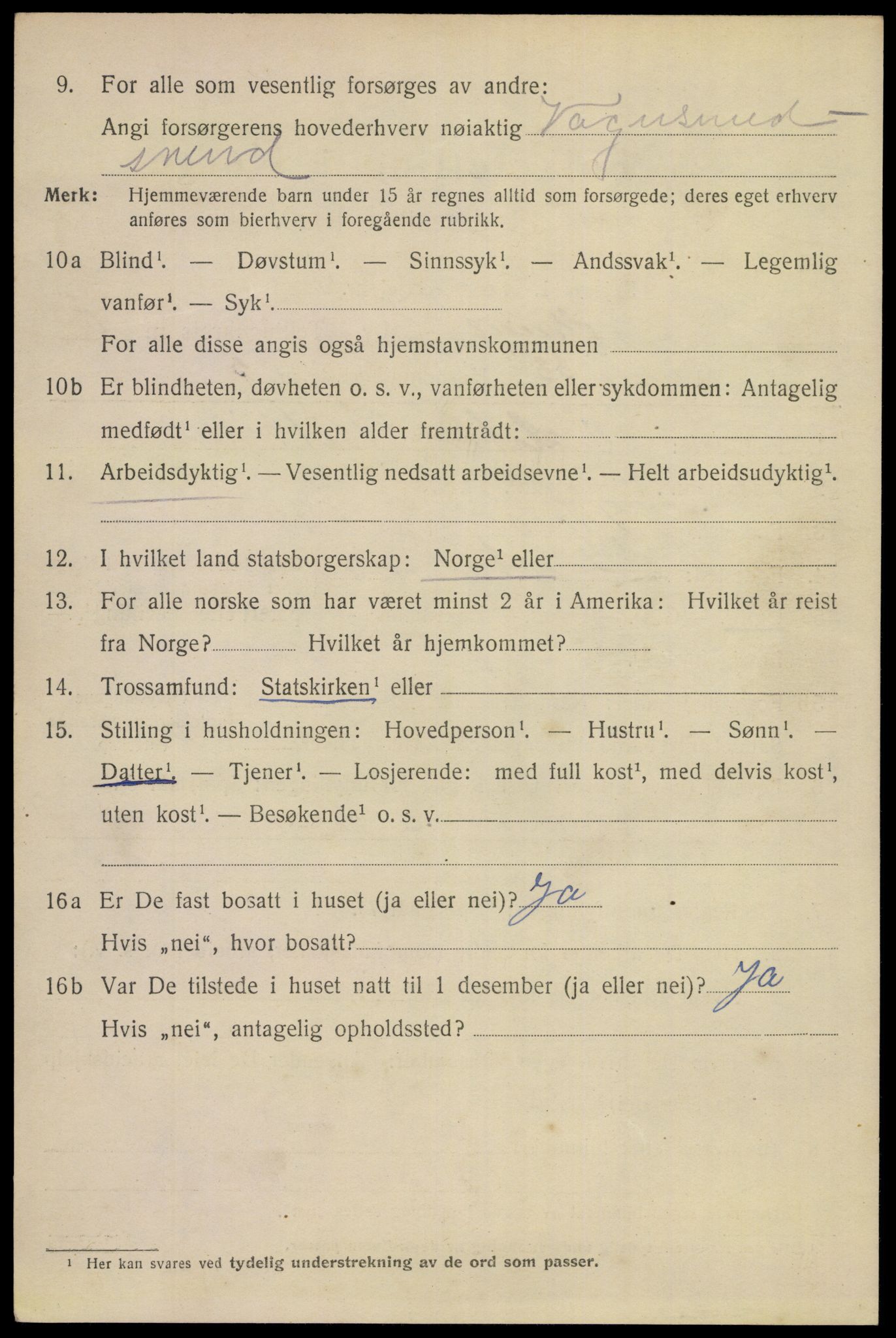 SAKO, 1920 census for Skien, 1920, p. 25321