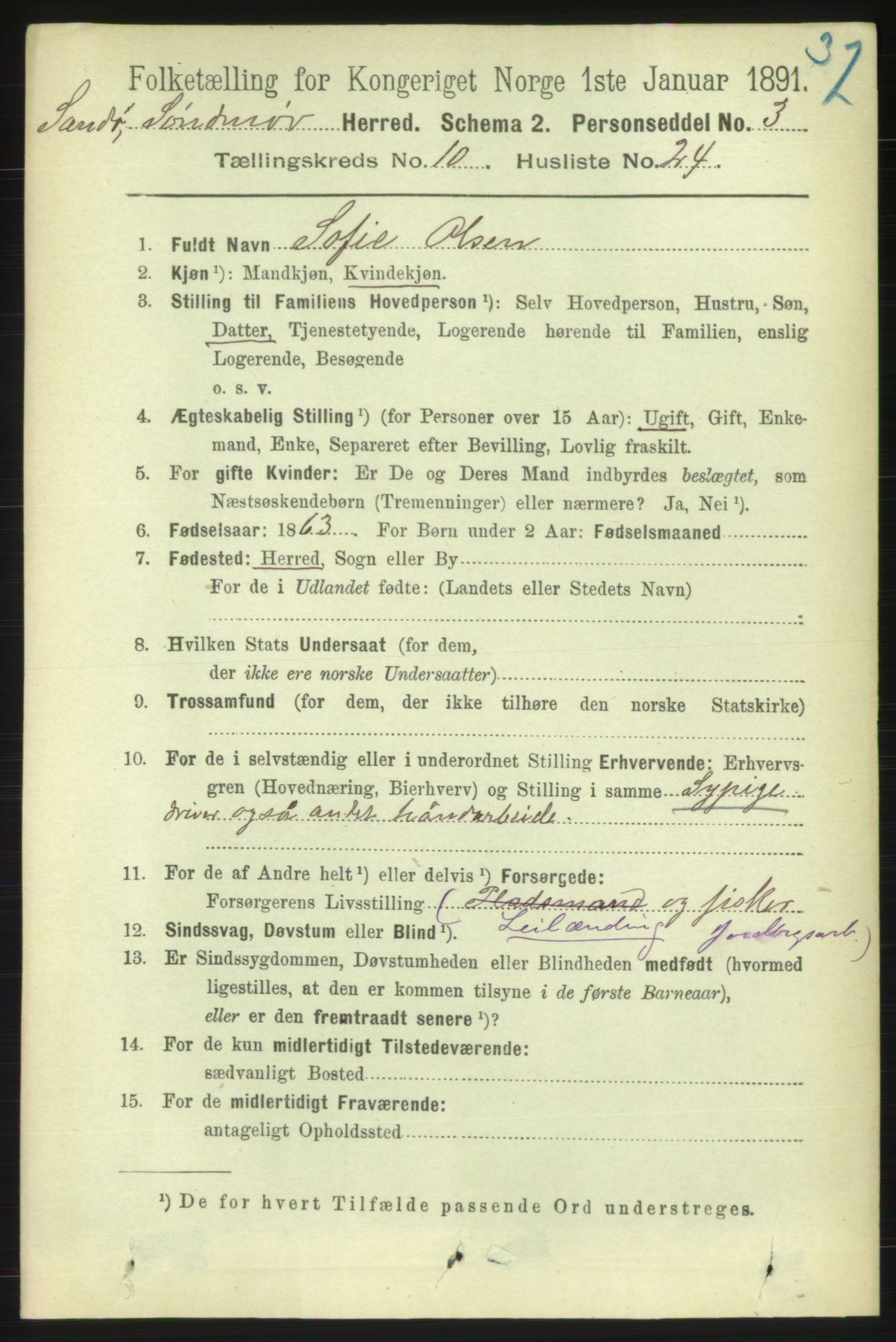 RA, 1891 census for 1514 Sande, 1891, p. 1916