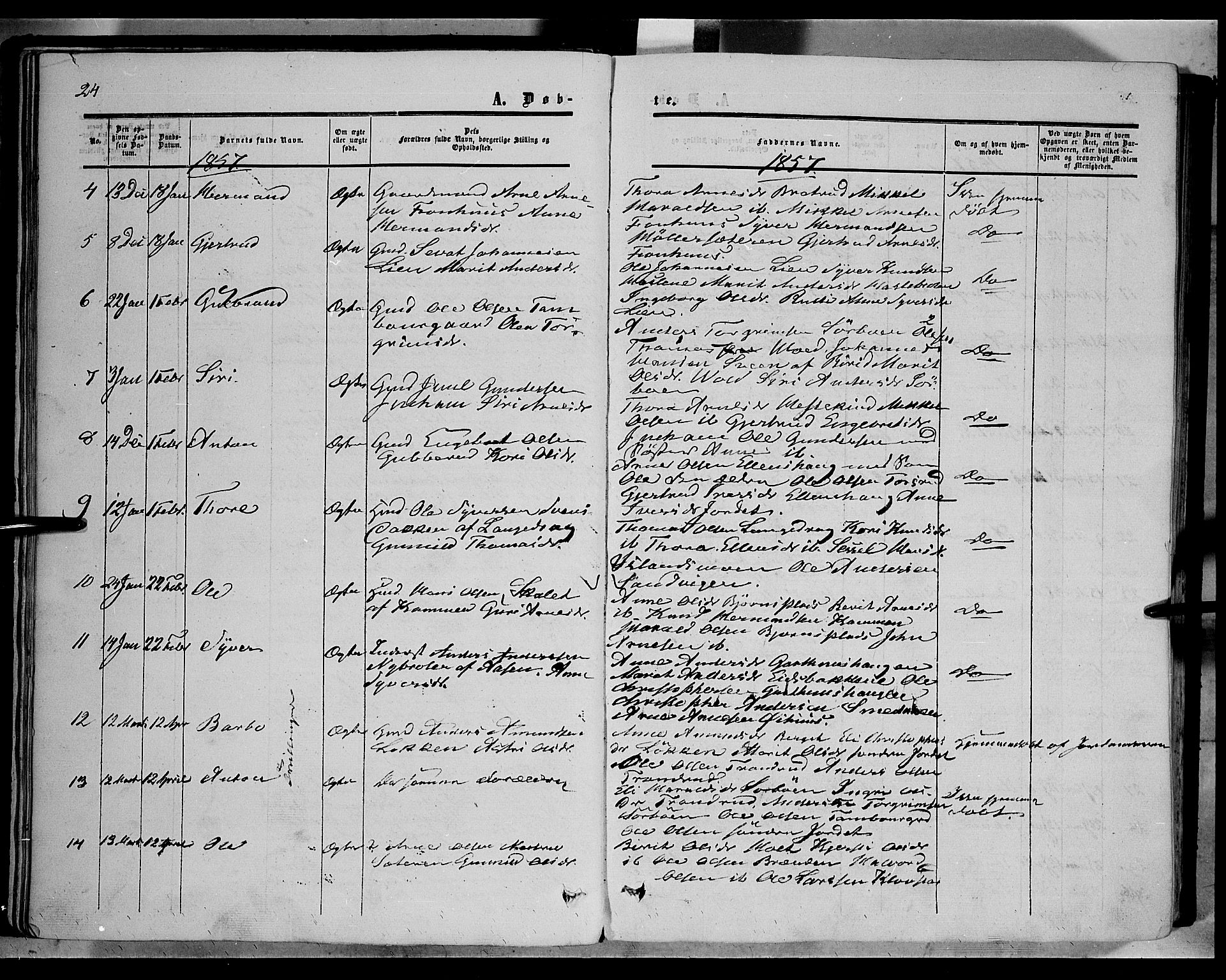 Sør-Aurdal prestekontor, SAH/PREST-128/H/Ha/Haa/L0005: Parish register (official) no. 5, 1849-1876, p. 24