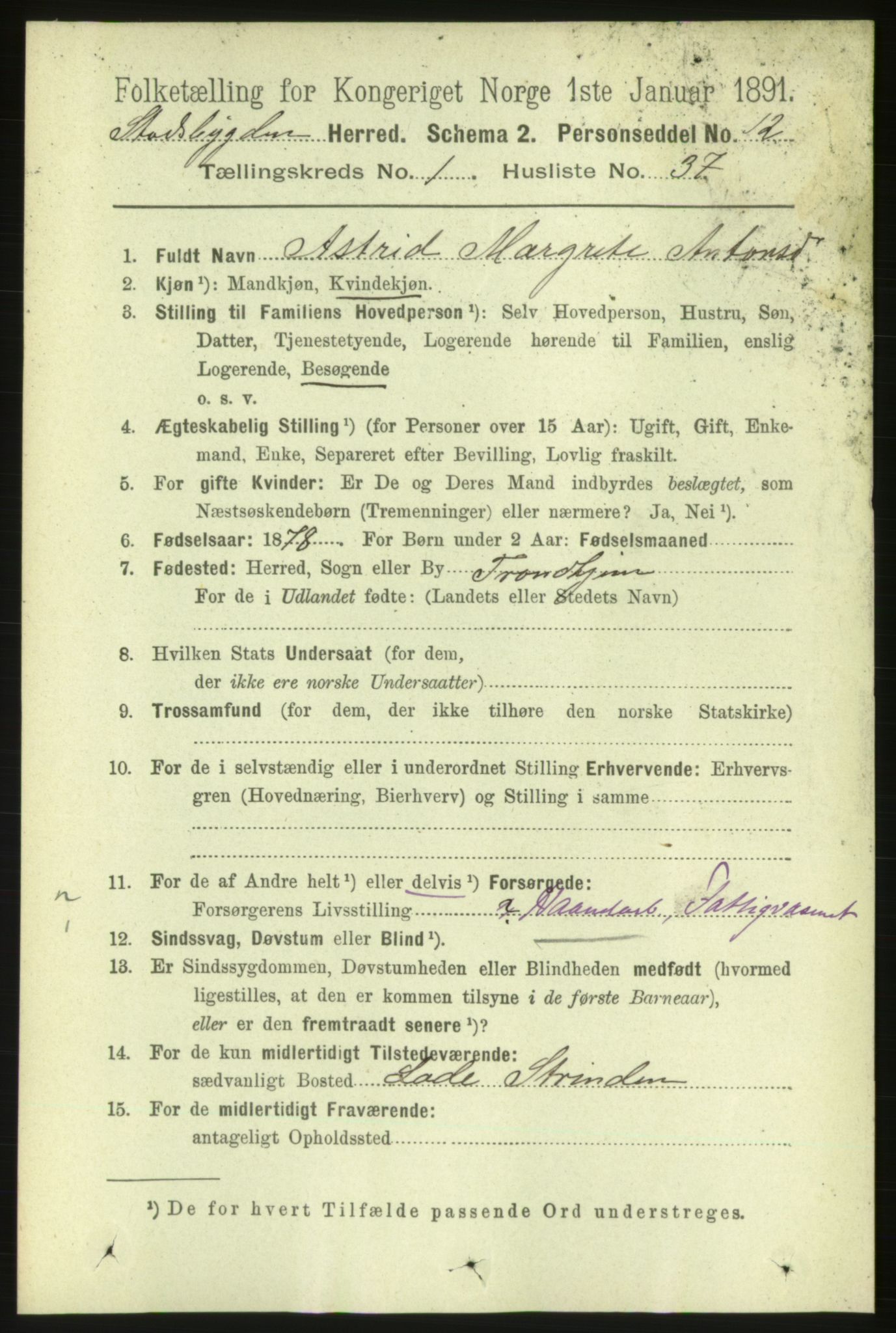 RA, 1891 census for 1625 Stadsbygd, 1891, p. 355