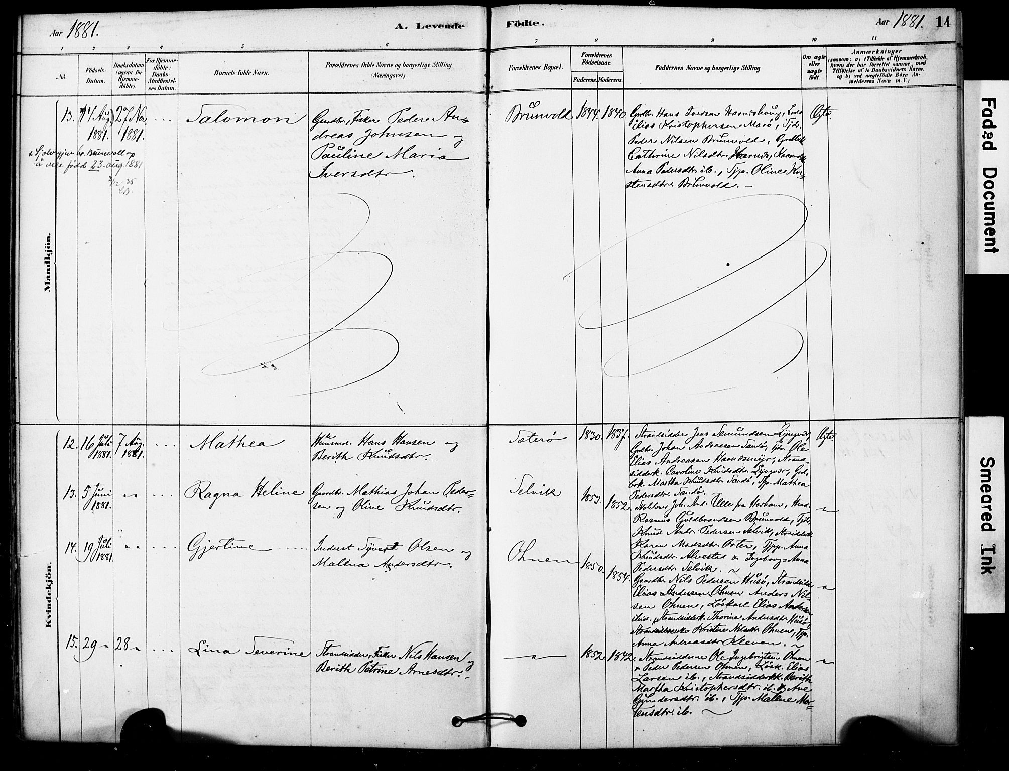 Ministerialprotokoller, klokkerbøker og fødselsregistre - Møre og Romsdal, SAT/A-1454/561/L0729: Parish register (official) no. 561A03, 1878-1900, p. 14