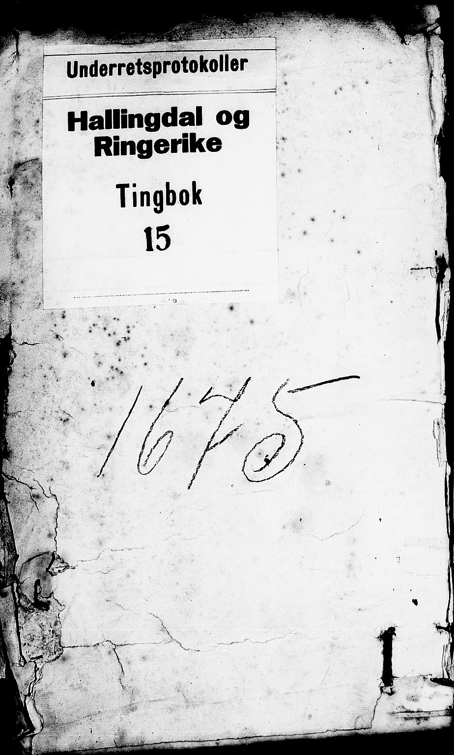 Ringerike og Hallingdal sorenskriveri, SAKO/A-81/F/Fa/Faa/L0011: Tingbok, 1675-1676