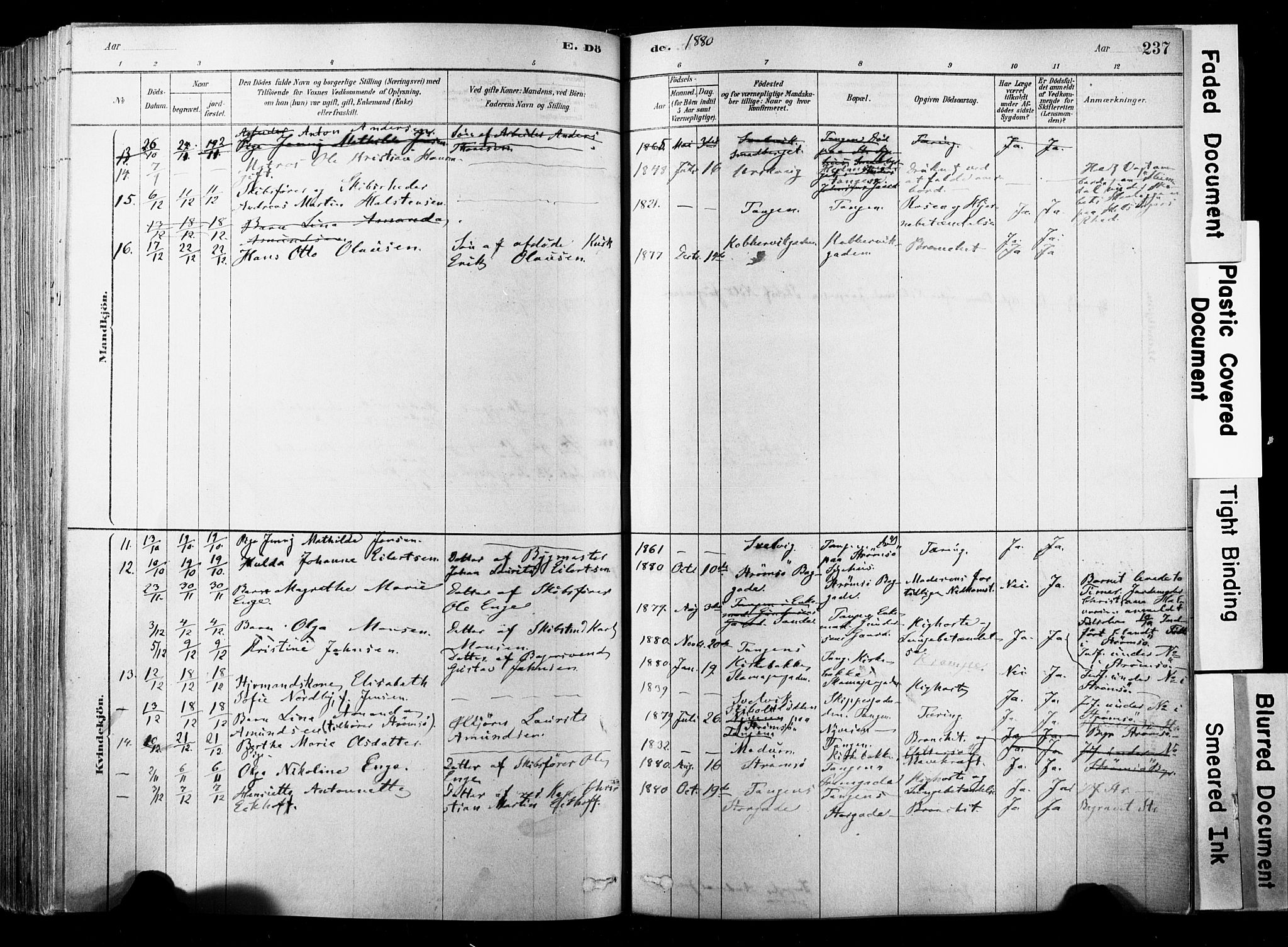 Strømsø kirkebøker, AV/SAKO-A-246/F/Fb/L0006: Parish register (official) no. II 6, 1879-1910, p. 237