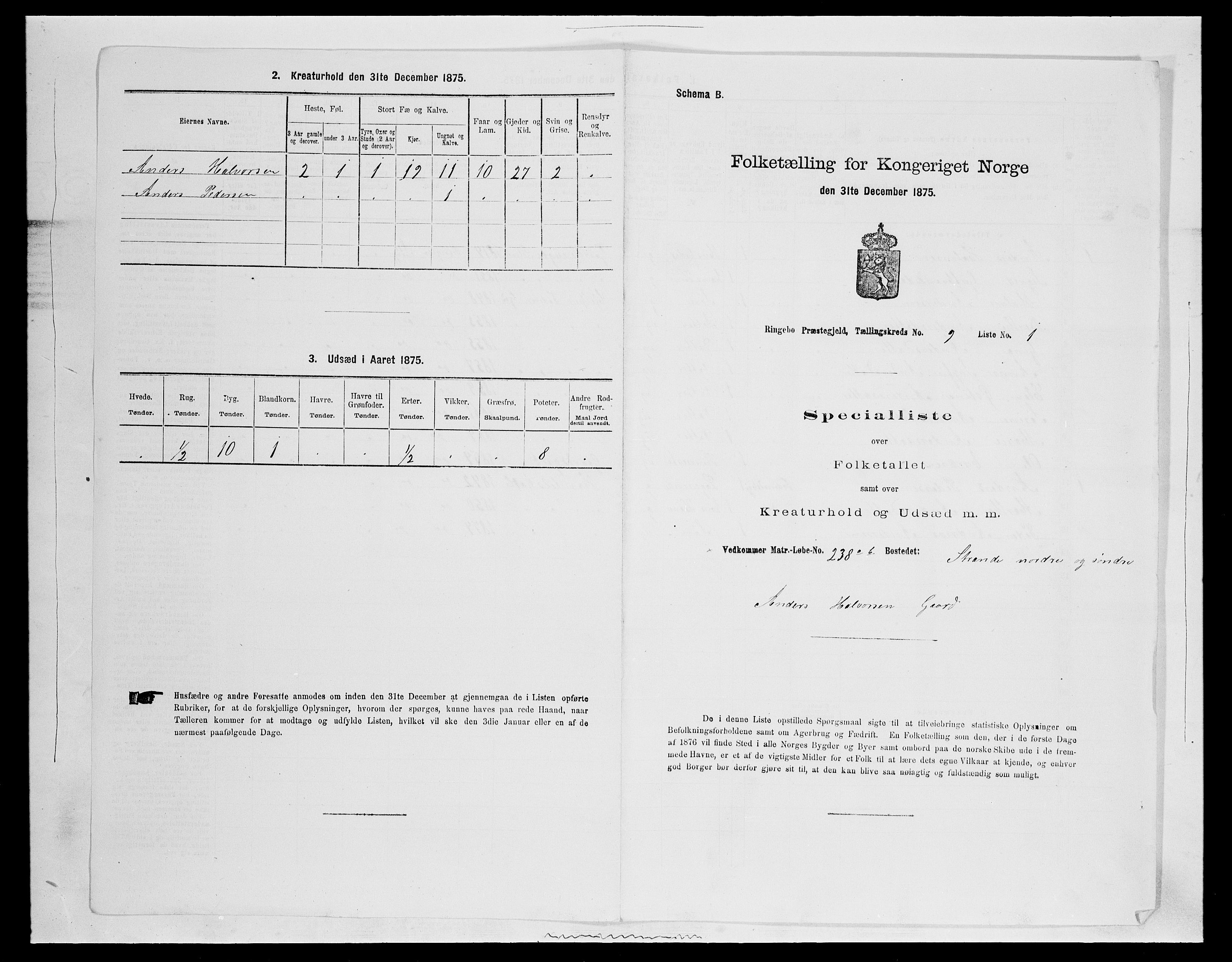 SAH, 1875 census for 0520P Ringebu, 1875, p. 1335