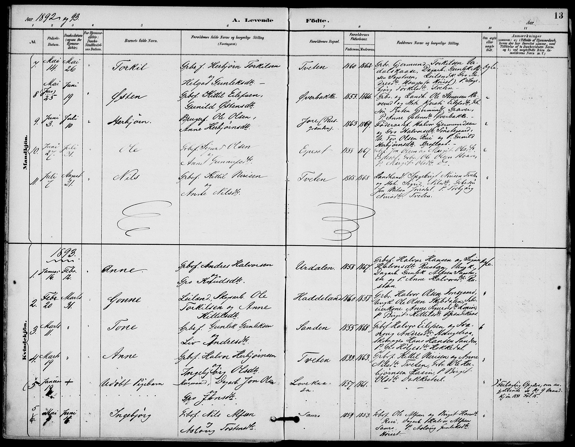 Gransherad kirkebøker, SAKO/A-267/F/Fb/L0005: Parish register (official) no. II 5, 1887-1916, p. 13