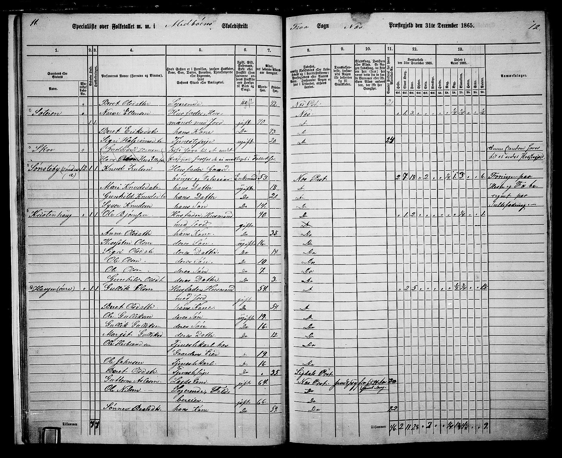 RA, 1865 census for Nes, 1865, p. 22