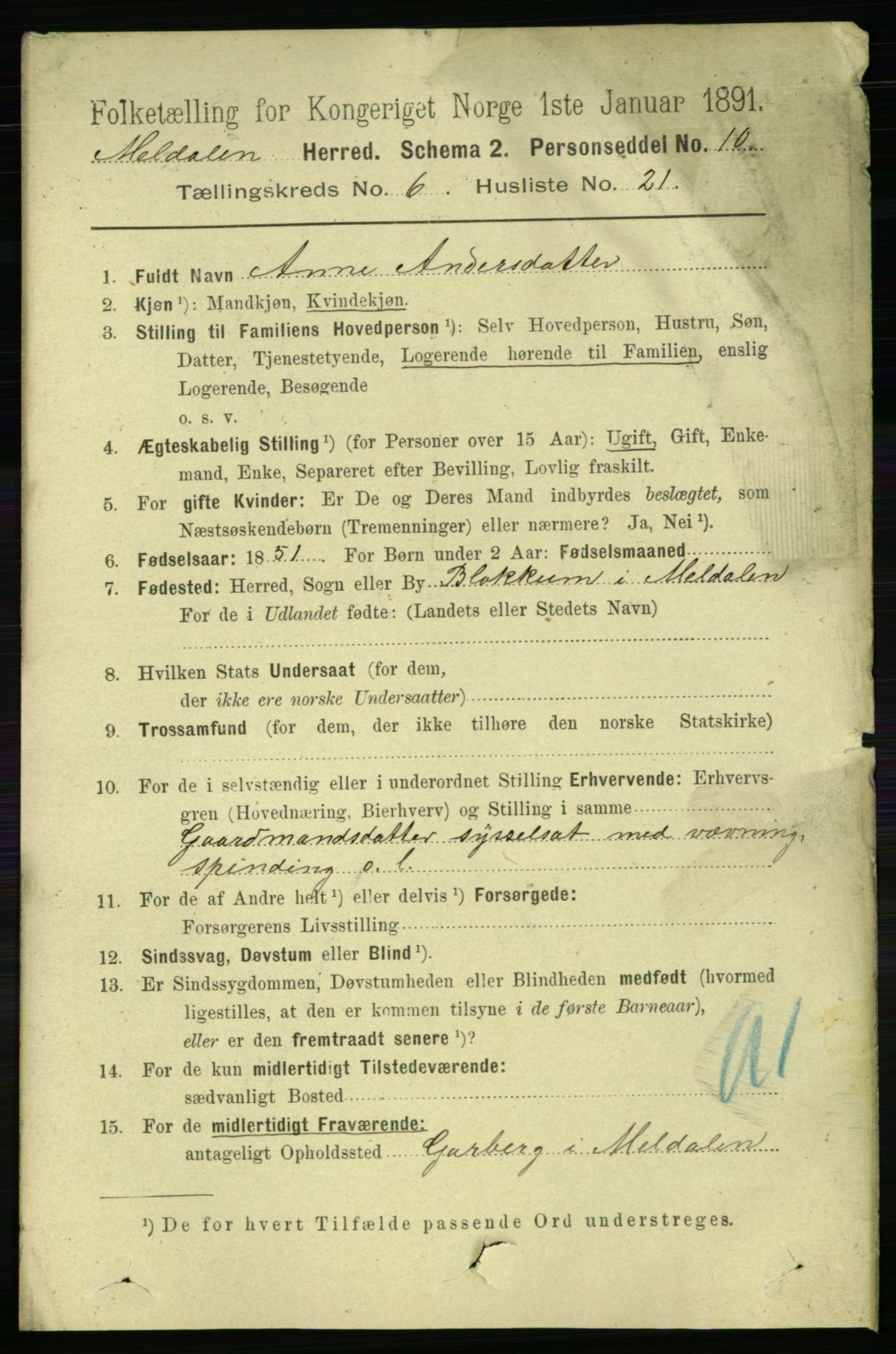 RA, 1891 census for 1636 Meldal, 1891, p. 3007